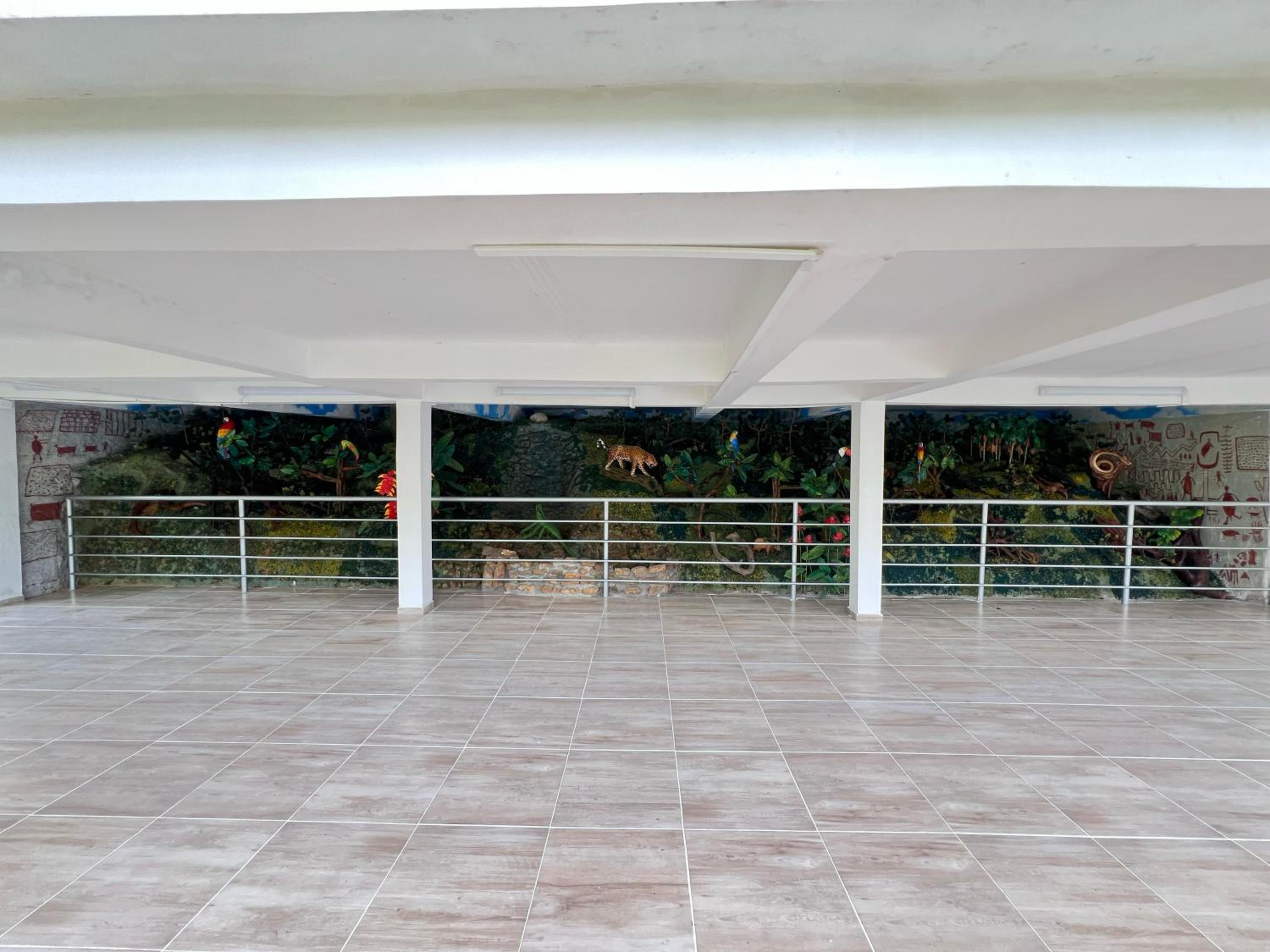 El desmadre villa lujosa Florencia, Caqueta
