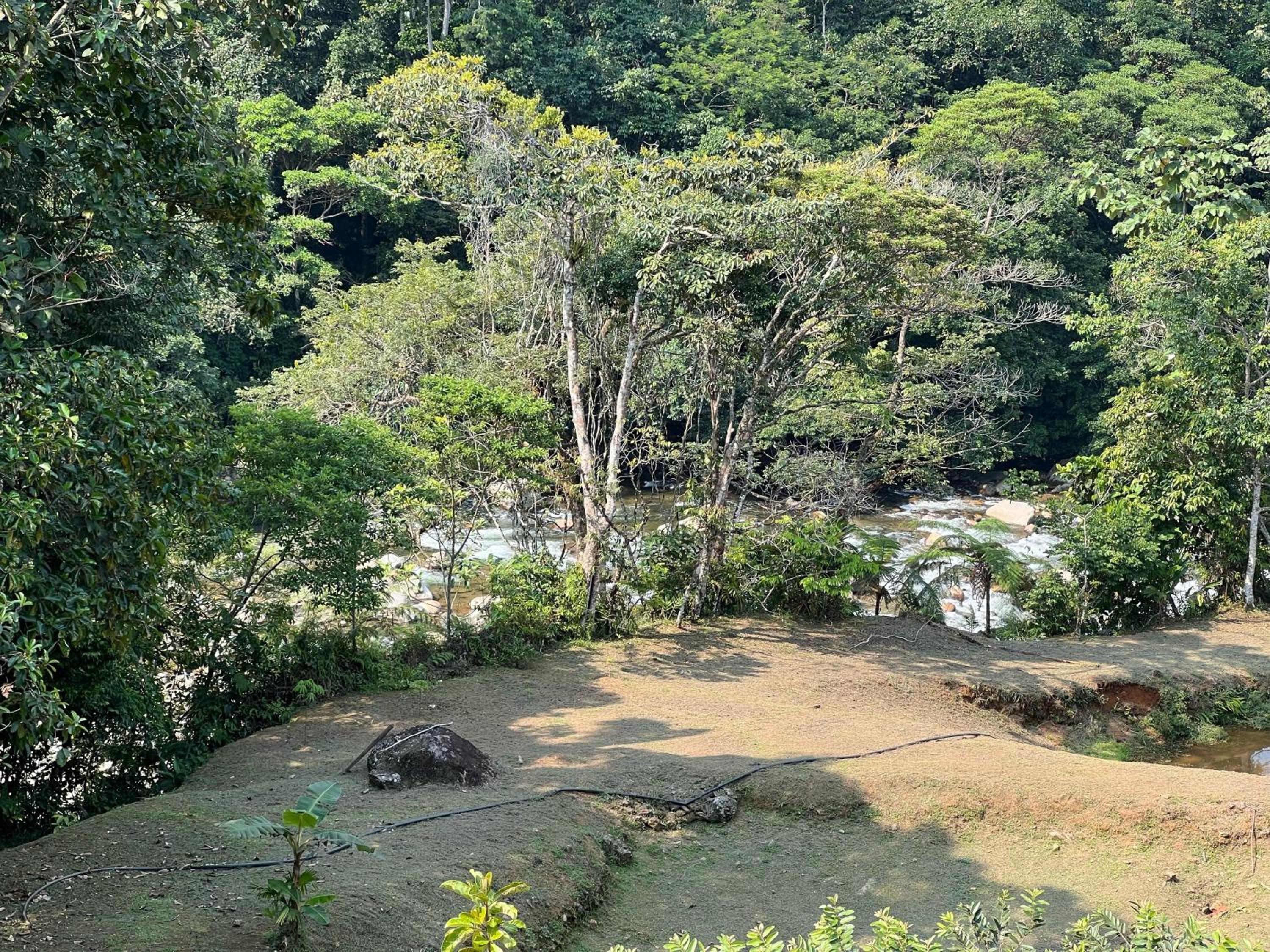 El desmadre villa lujosa Florencia, Caqueta