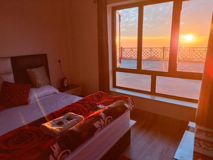 Radiant The Paradise