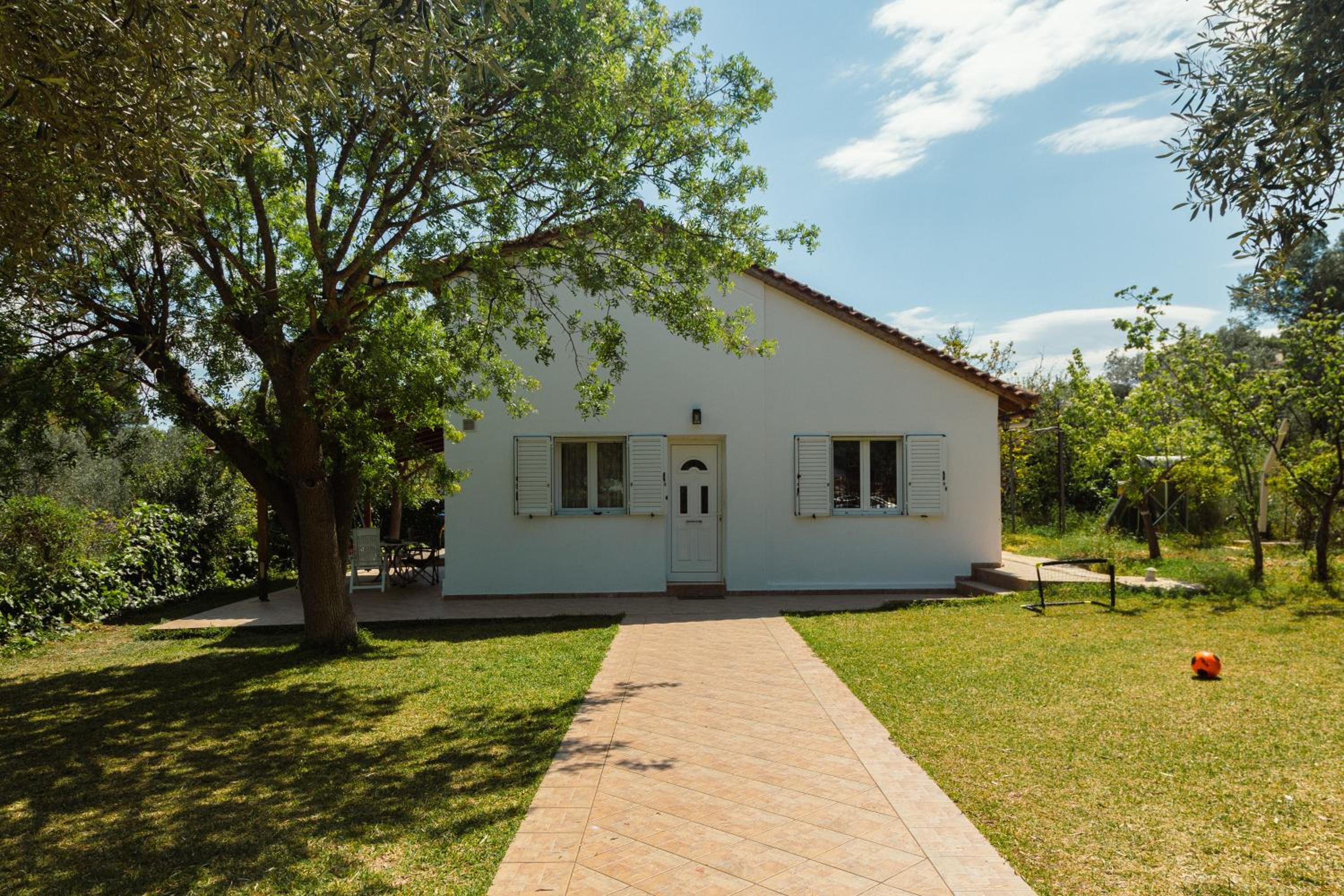 Photo 48