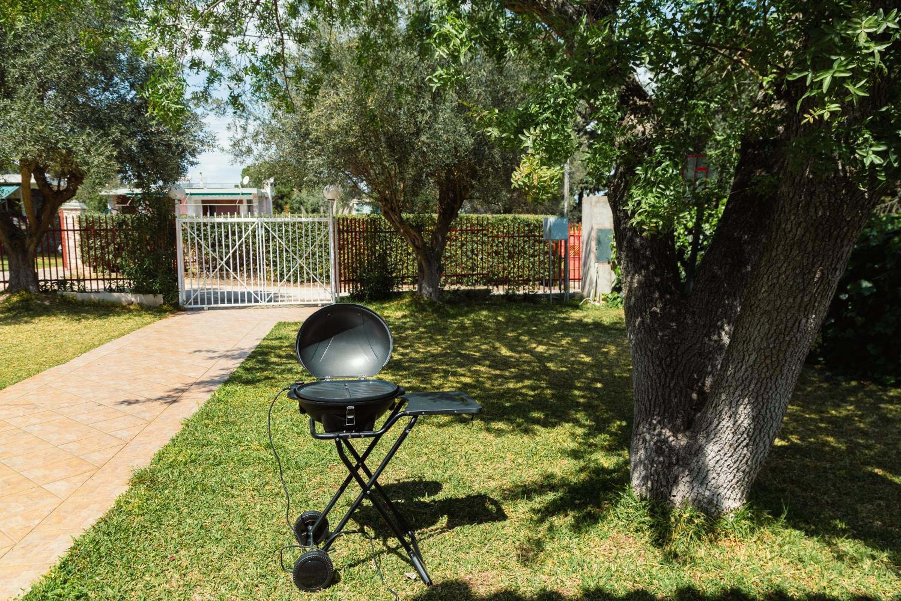 Photo 33