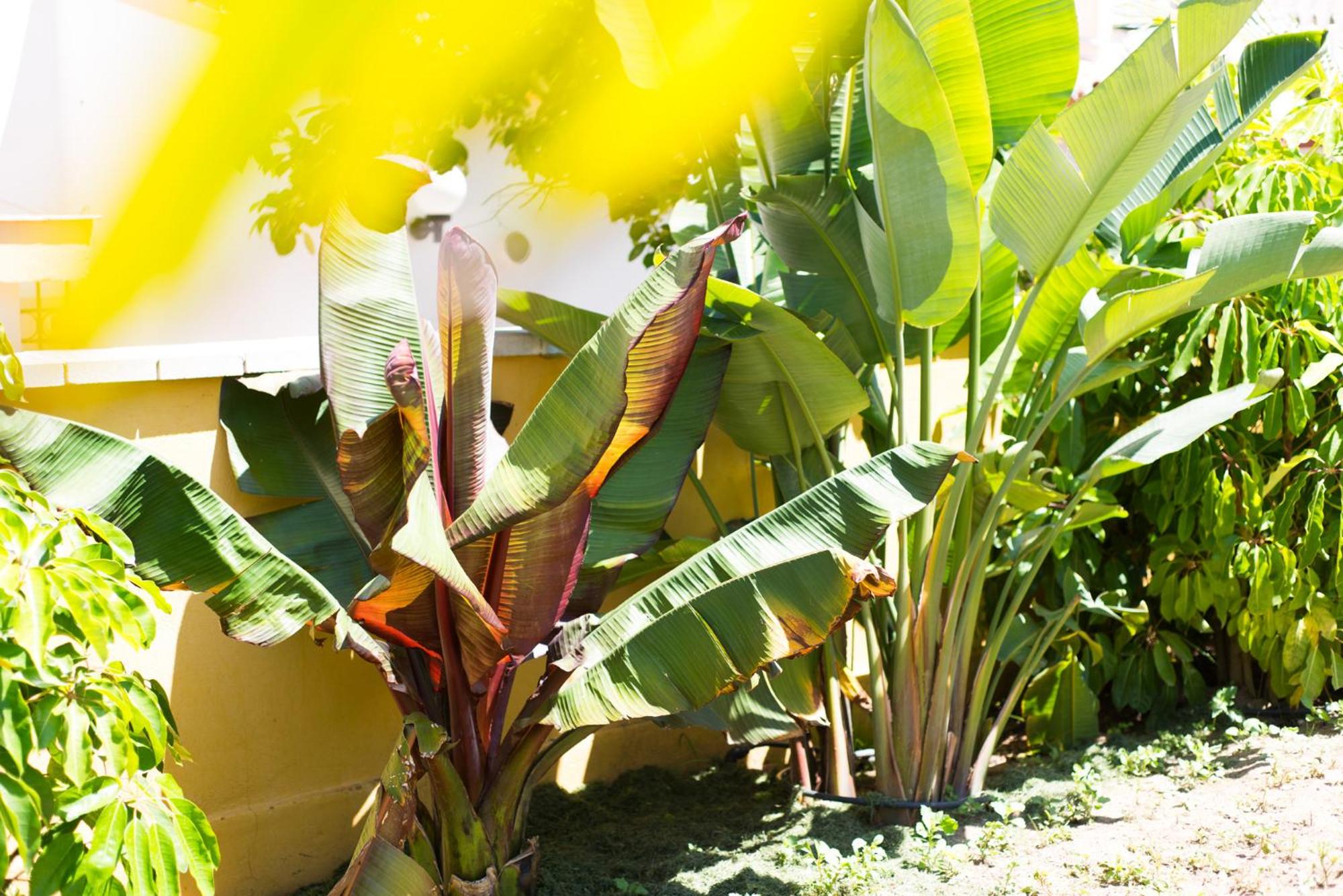 Villa Rio Salado photo 4