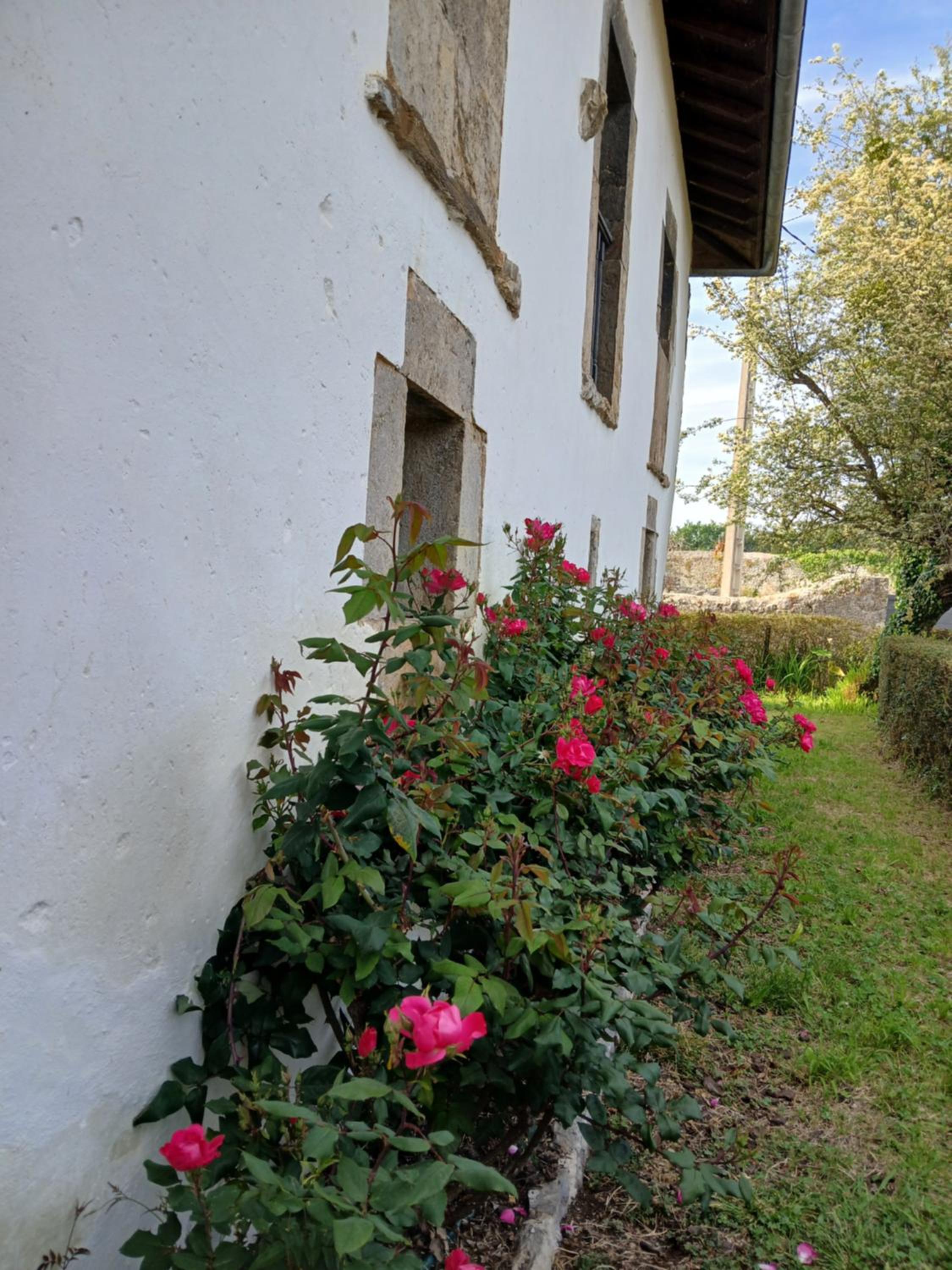 Photo 39
