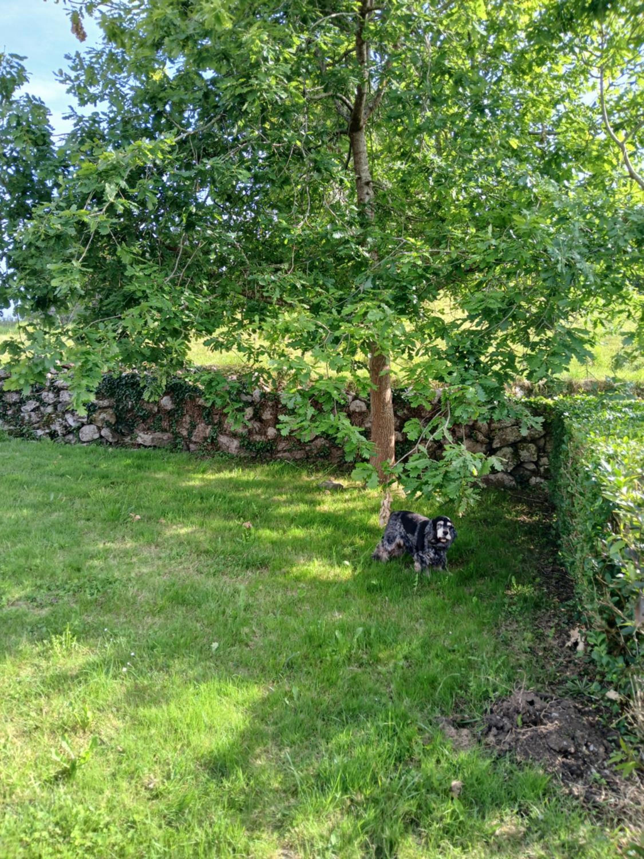 Photo 32