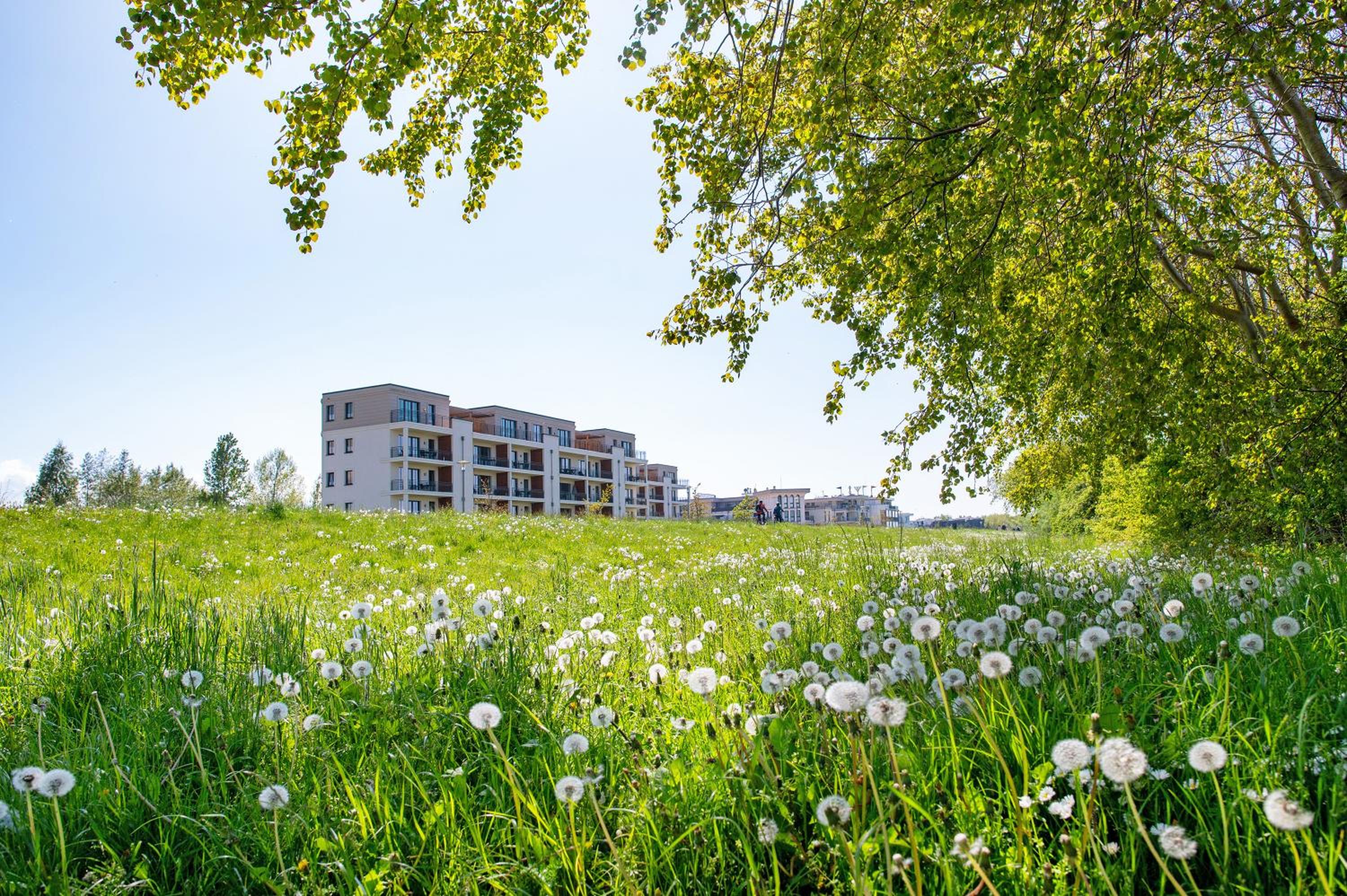 Ferienwohnung 'zum Steinestapler'