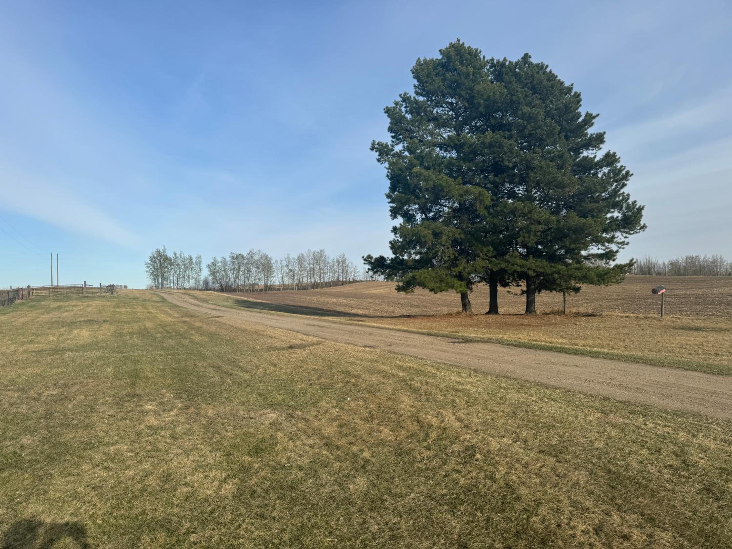 Farmstay in Edmonton