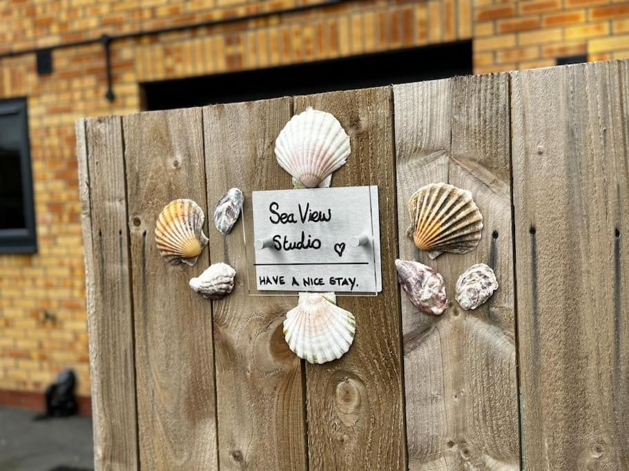 Seashell Studio