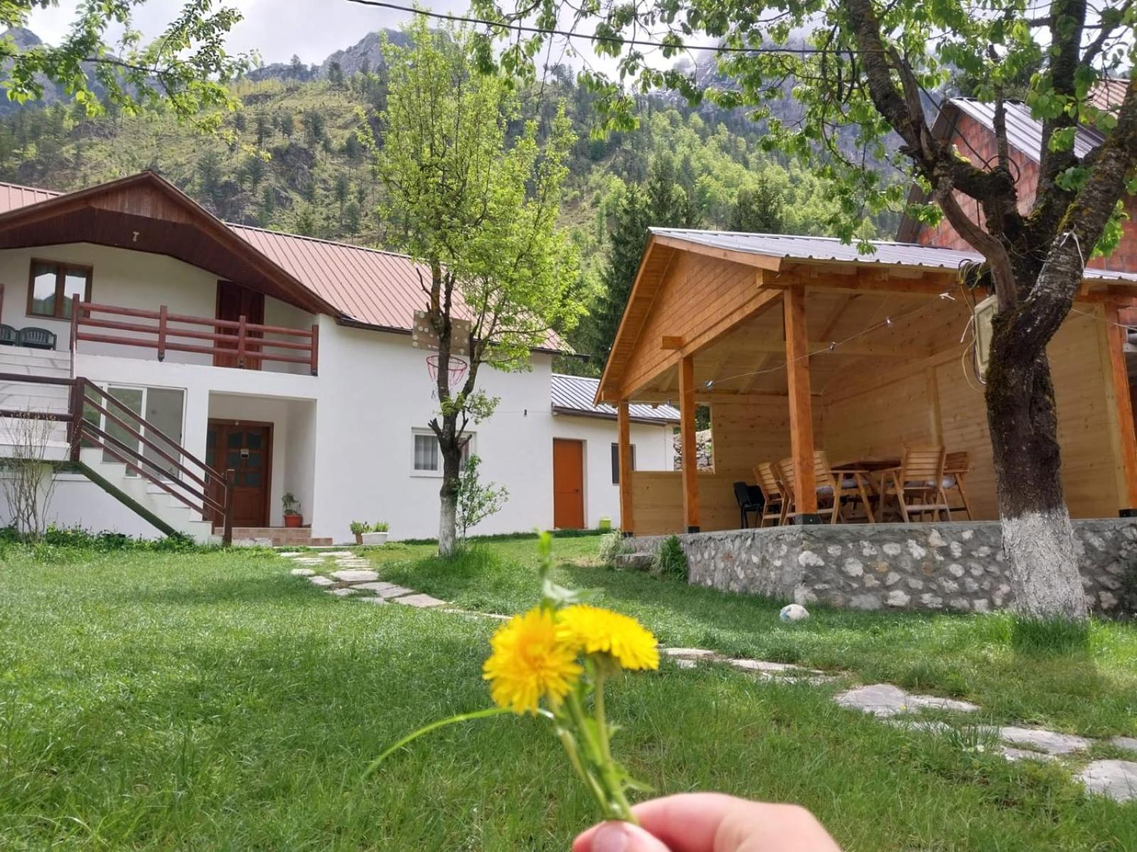 Bujtina Arlindi