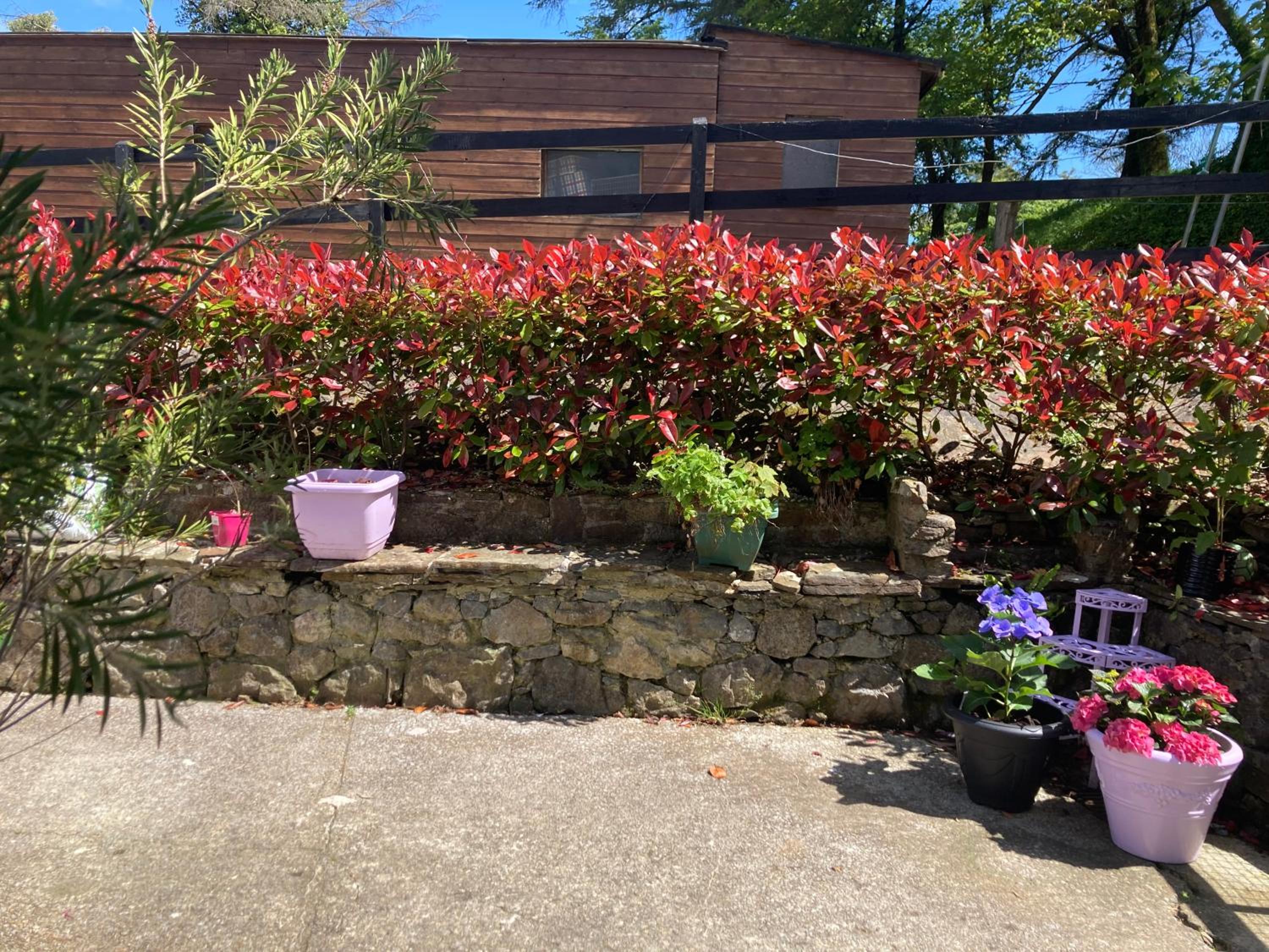 Fitzgerald's Farmhouse Accommodation V94 YY47 view 2
