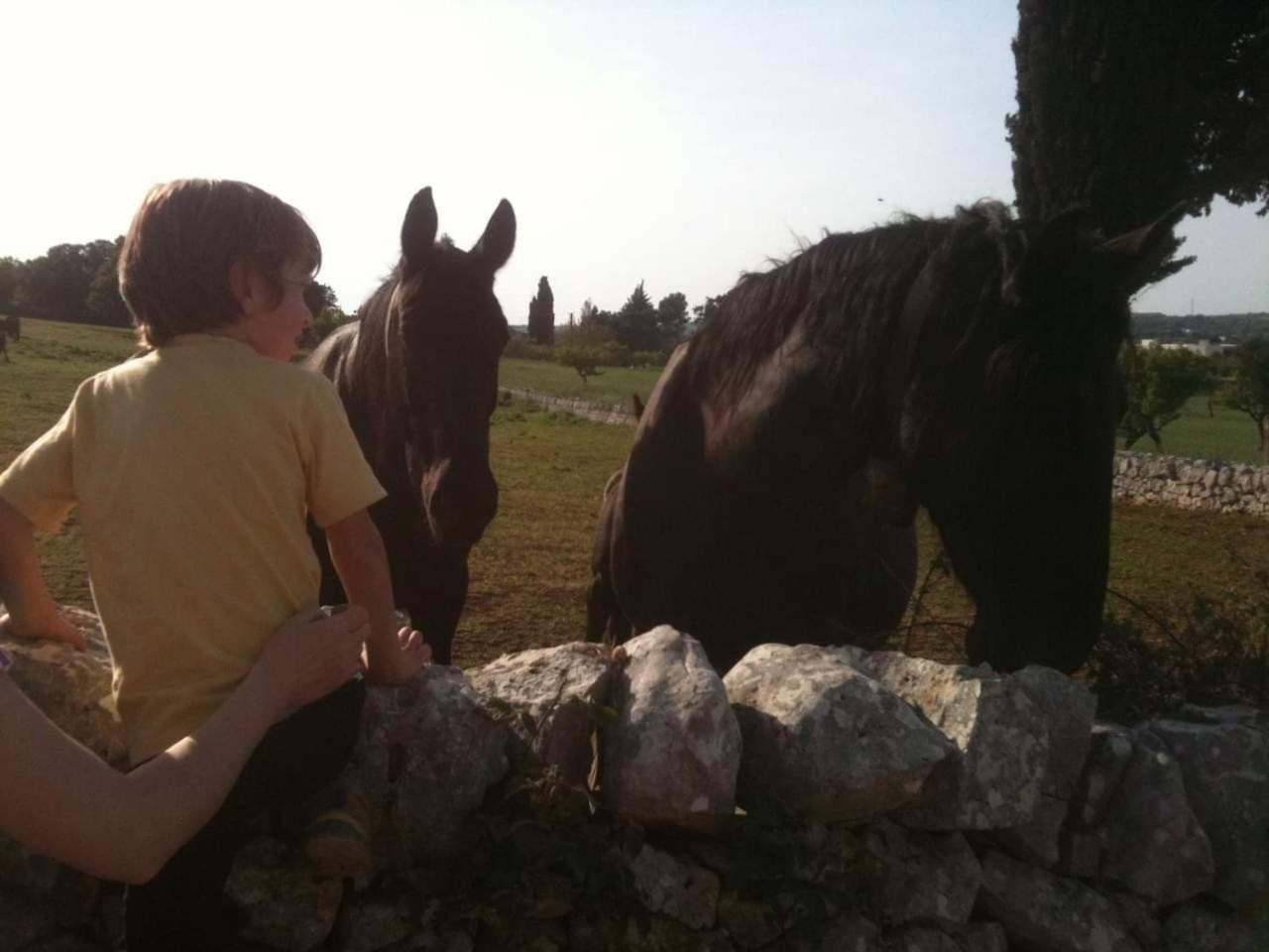 Photo 48