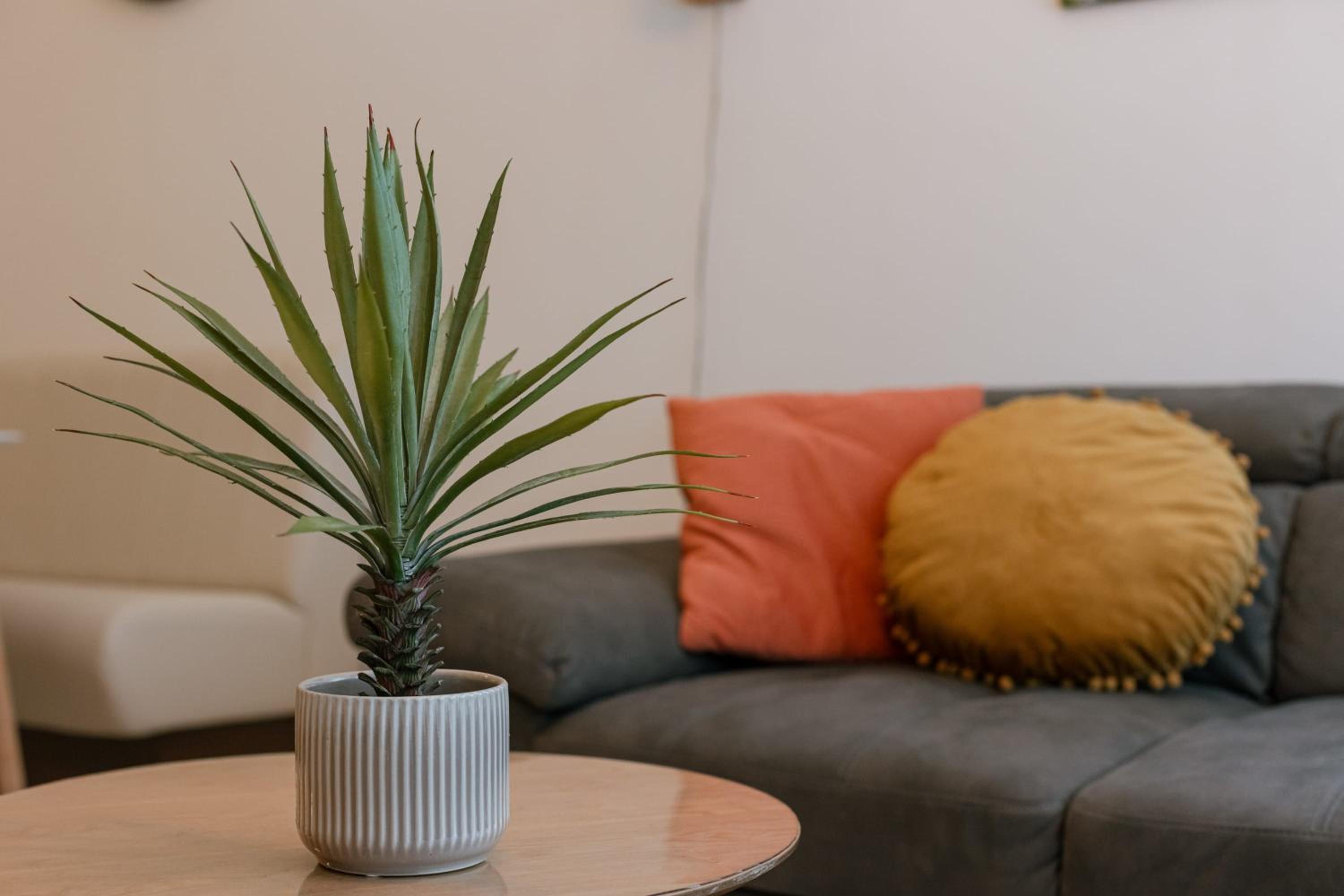 Cosy apartment close to Ostend Beach
