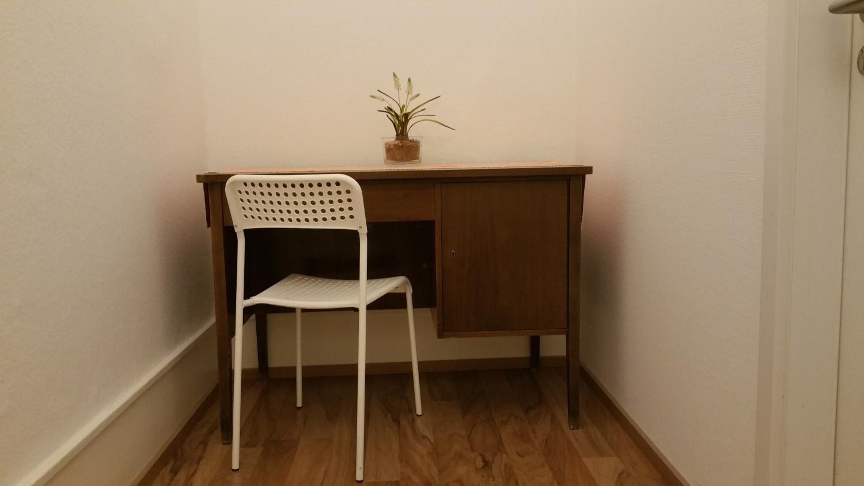 Photo 6