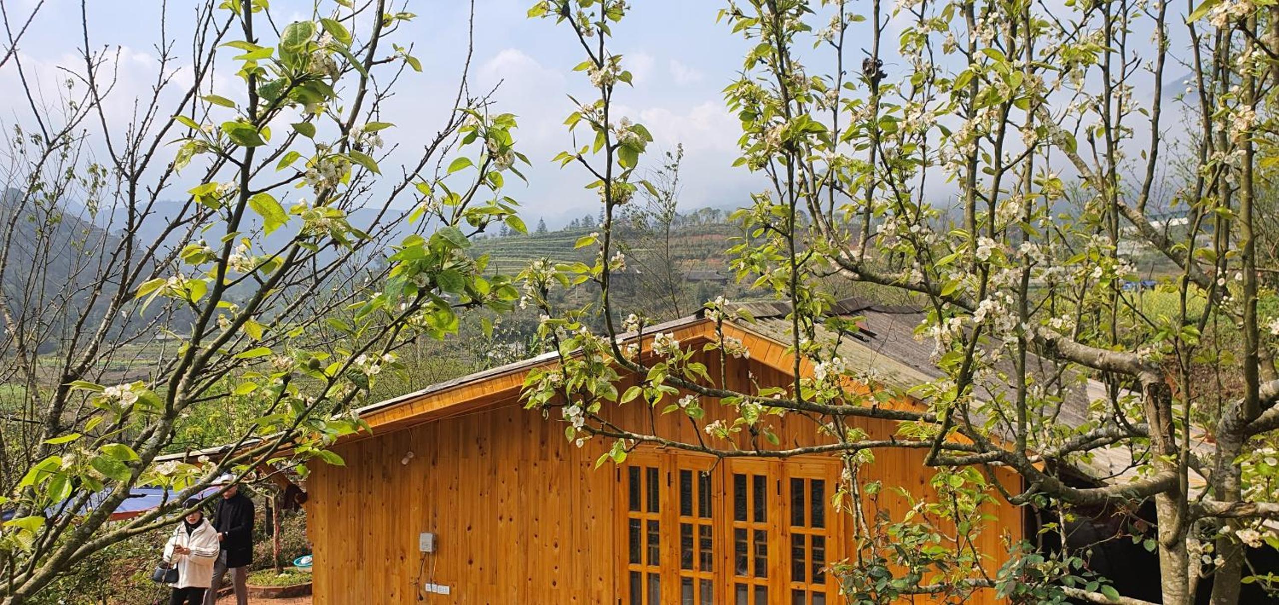 Cottage Garden Sapa view 2