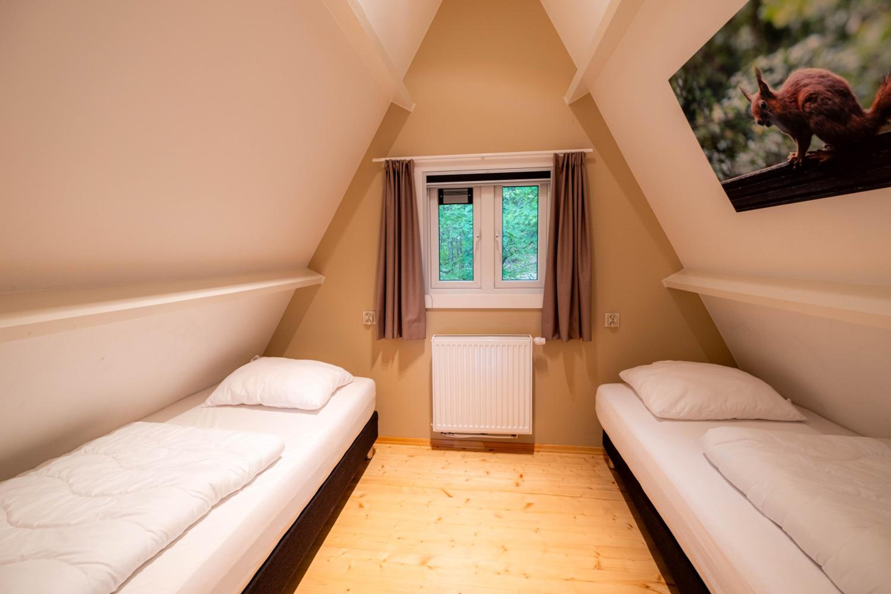 Chalet De Zwaan