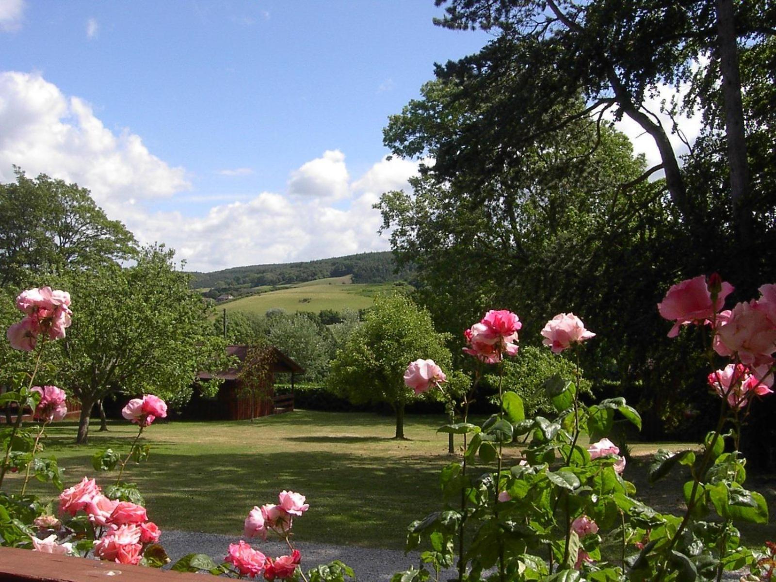 Cedar Lodge view 2