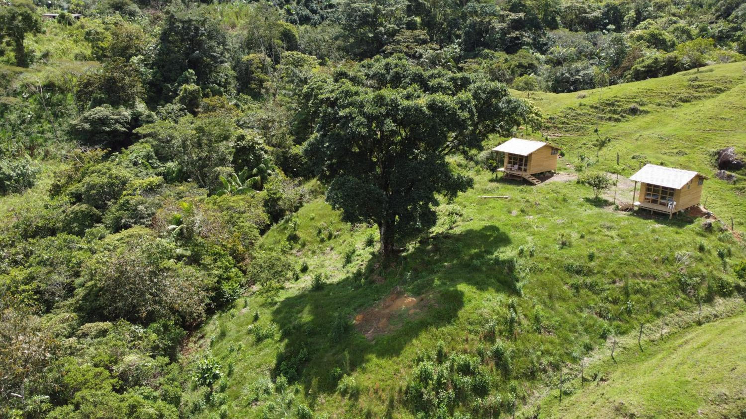 Camelia Hostel