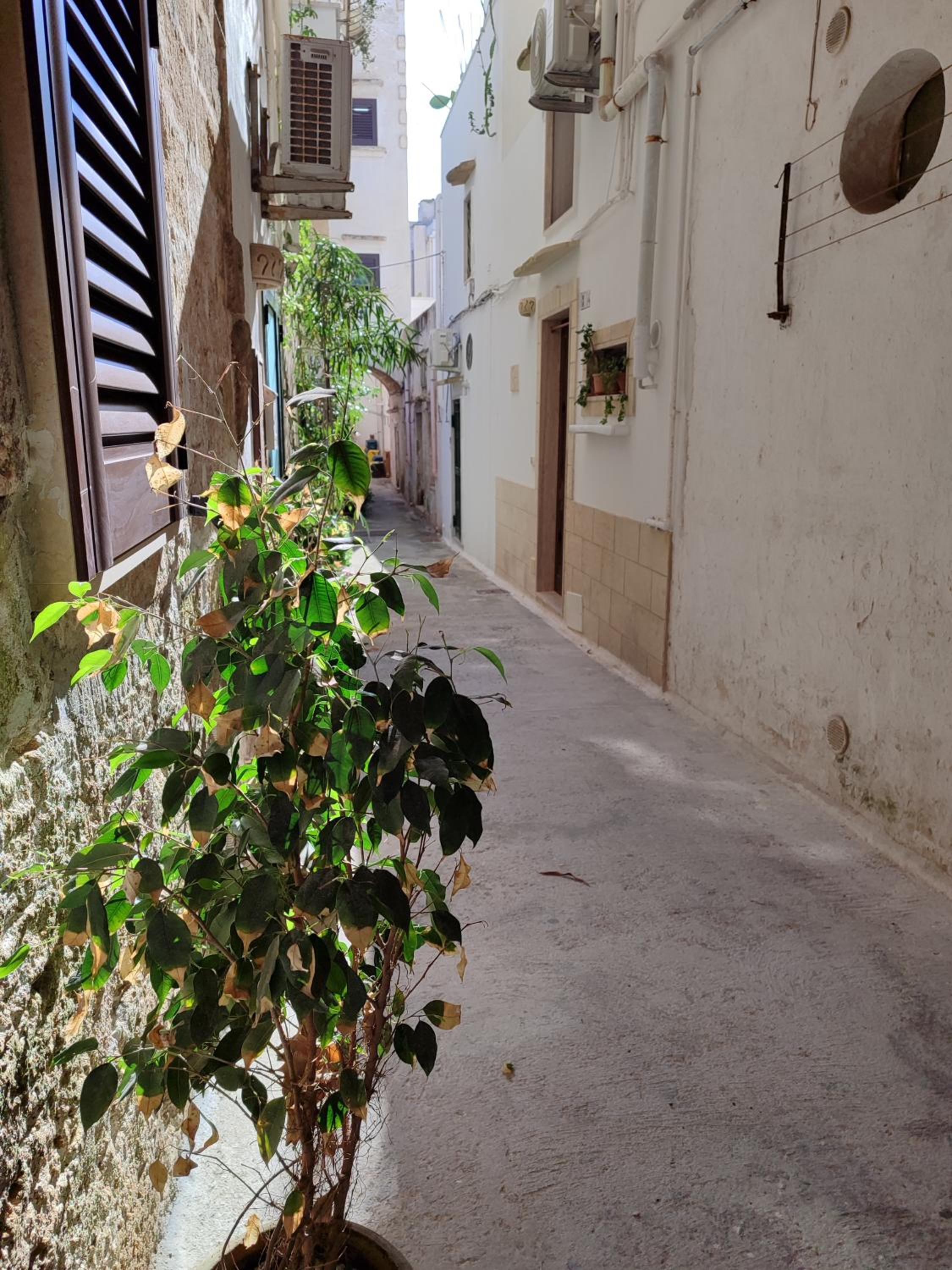 B&B Punta Cutieri