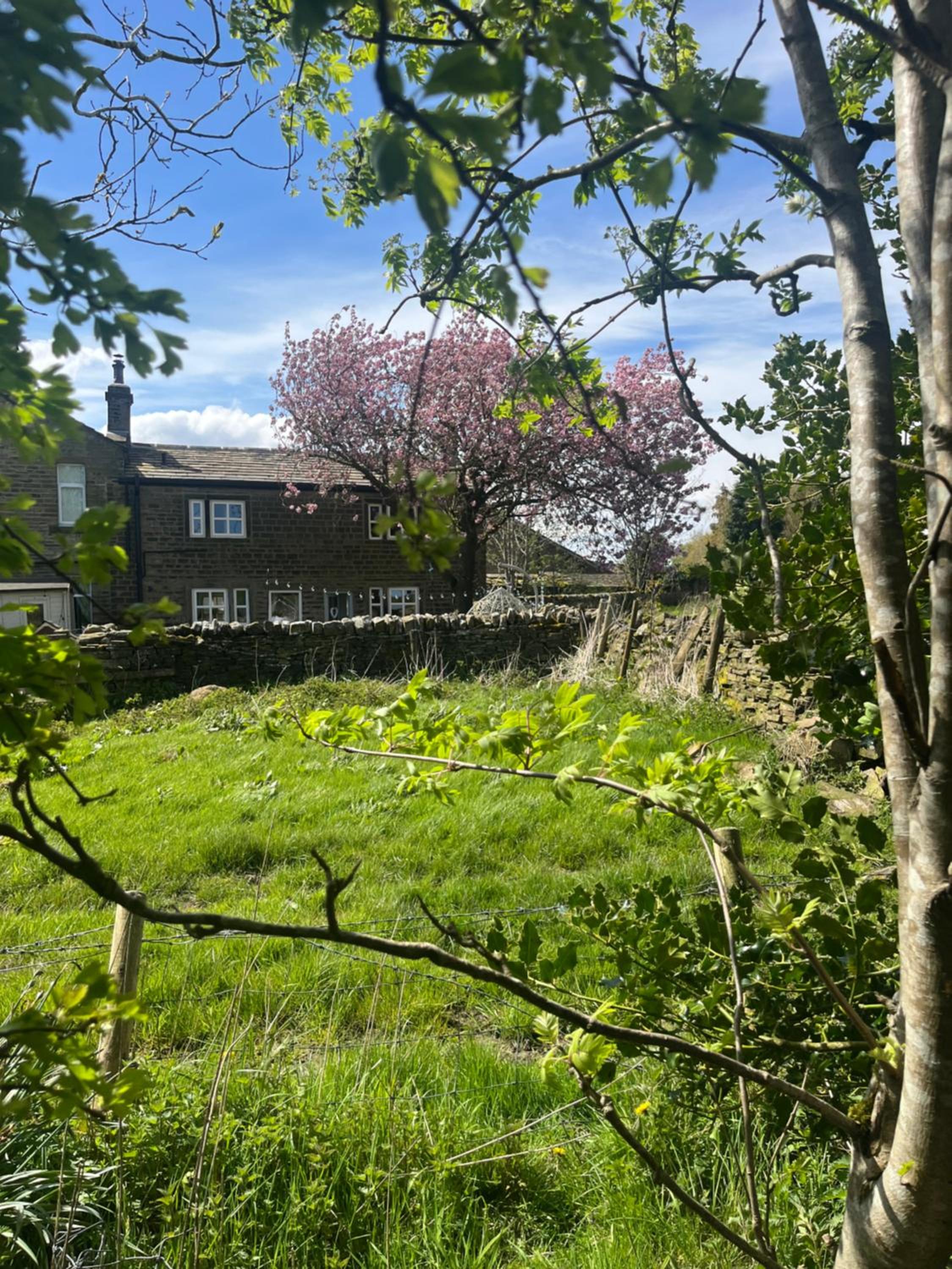 Photo 28