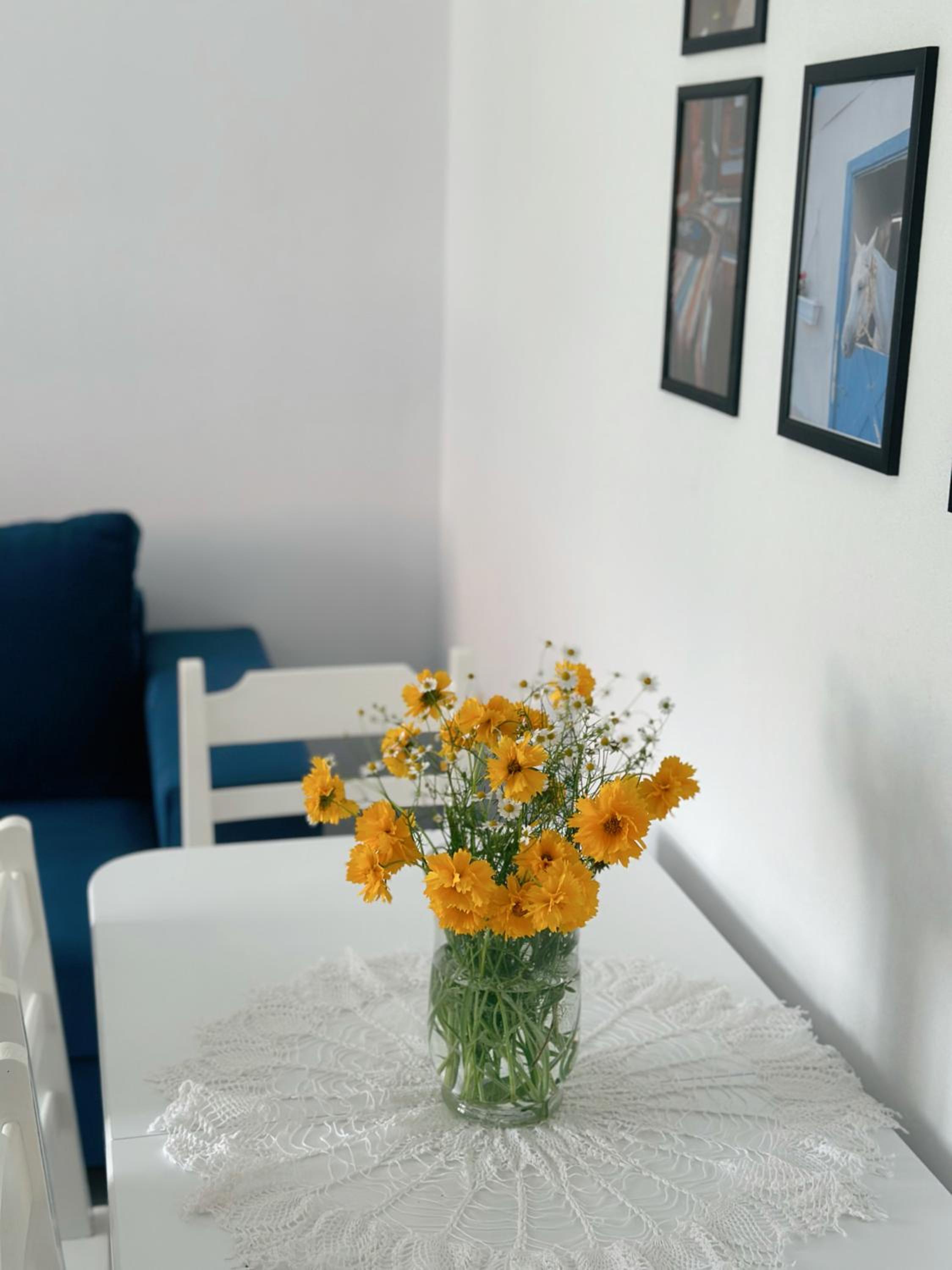 Js House Shkoder 4 photo 3