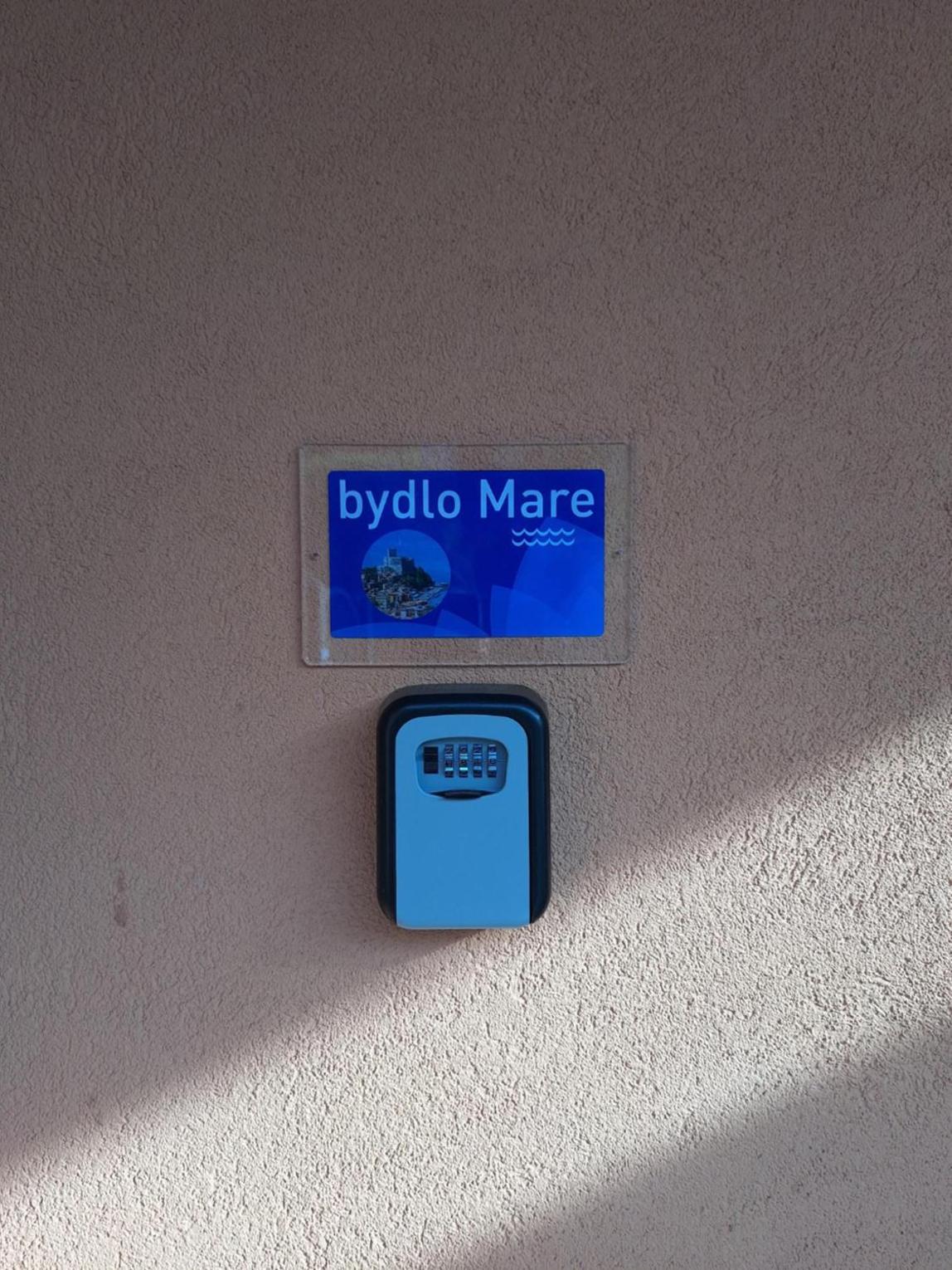 bydlo Mare
