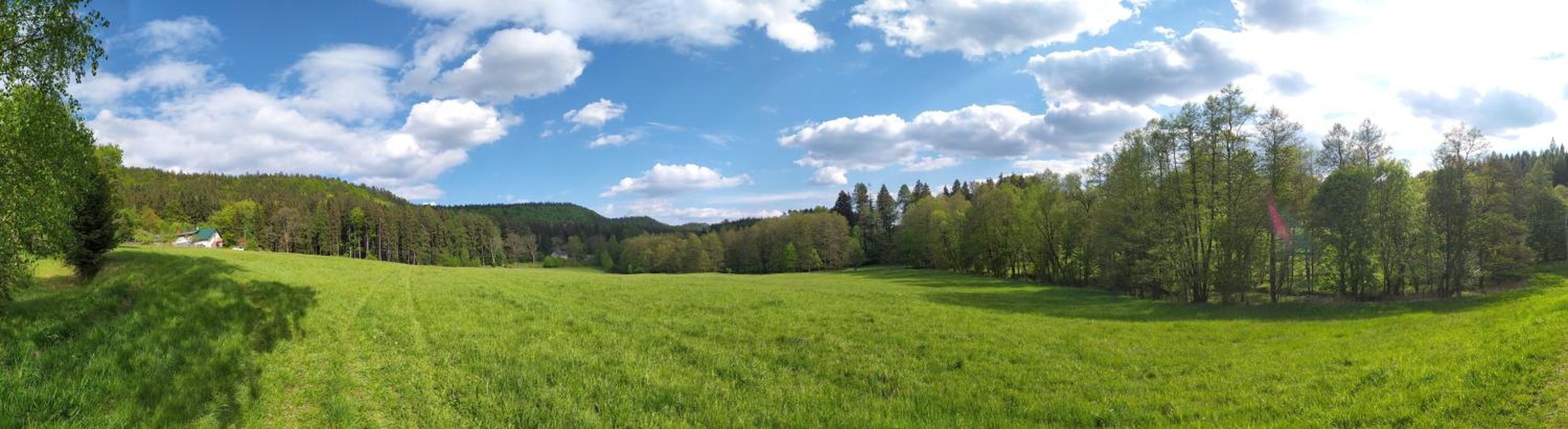 Apartmán u lesa u Adršpachu