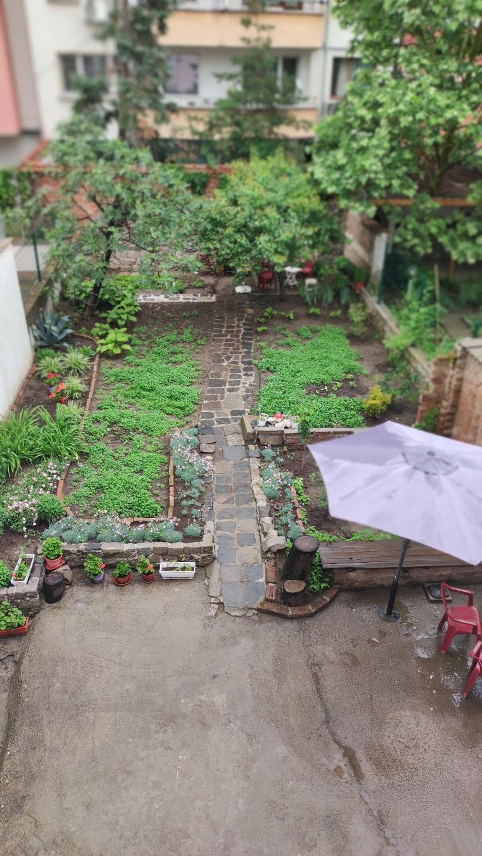 Markovo Tepe House & Garden