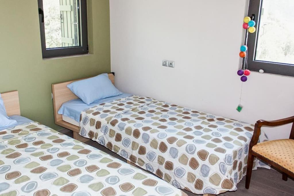 Tzouzos-Kordopateika villa in Prosilio, Kardamyli - Property Image 31