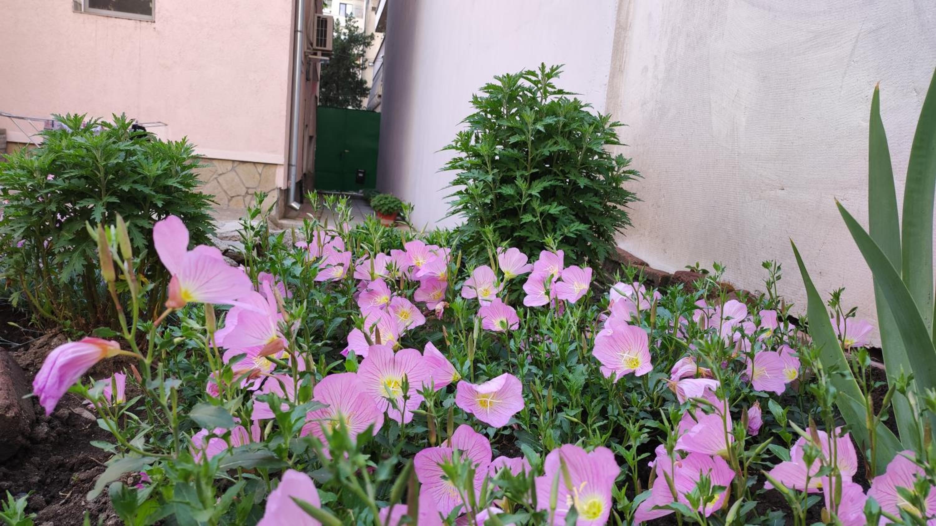 Markovo Tepe House & Garden