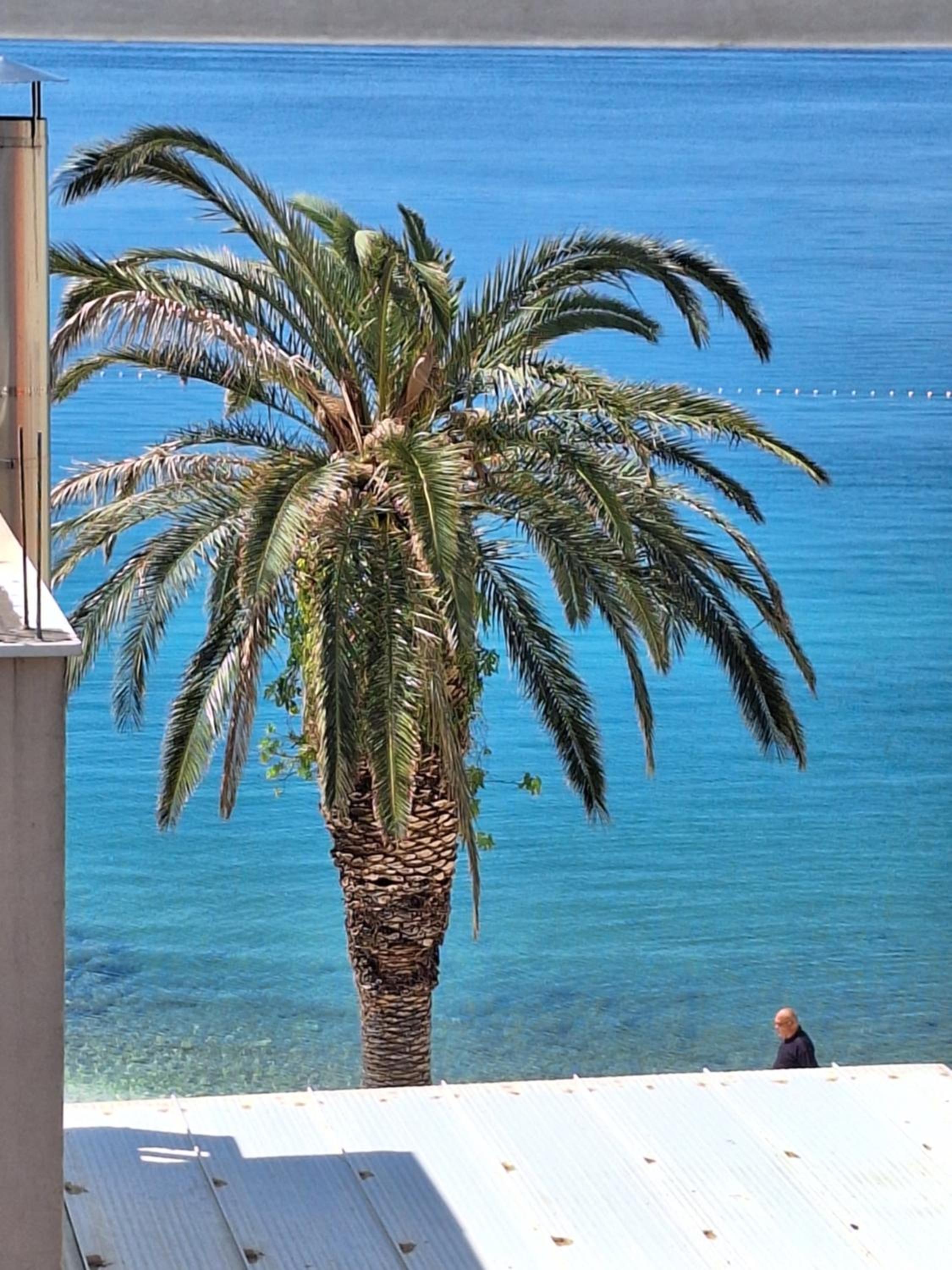 Apartman Graciela Perfect location Gradac view 4