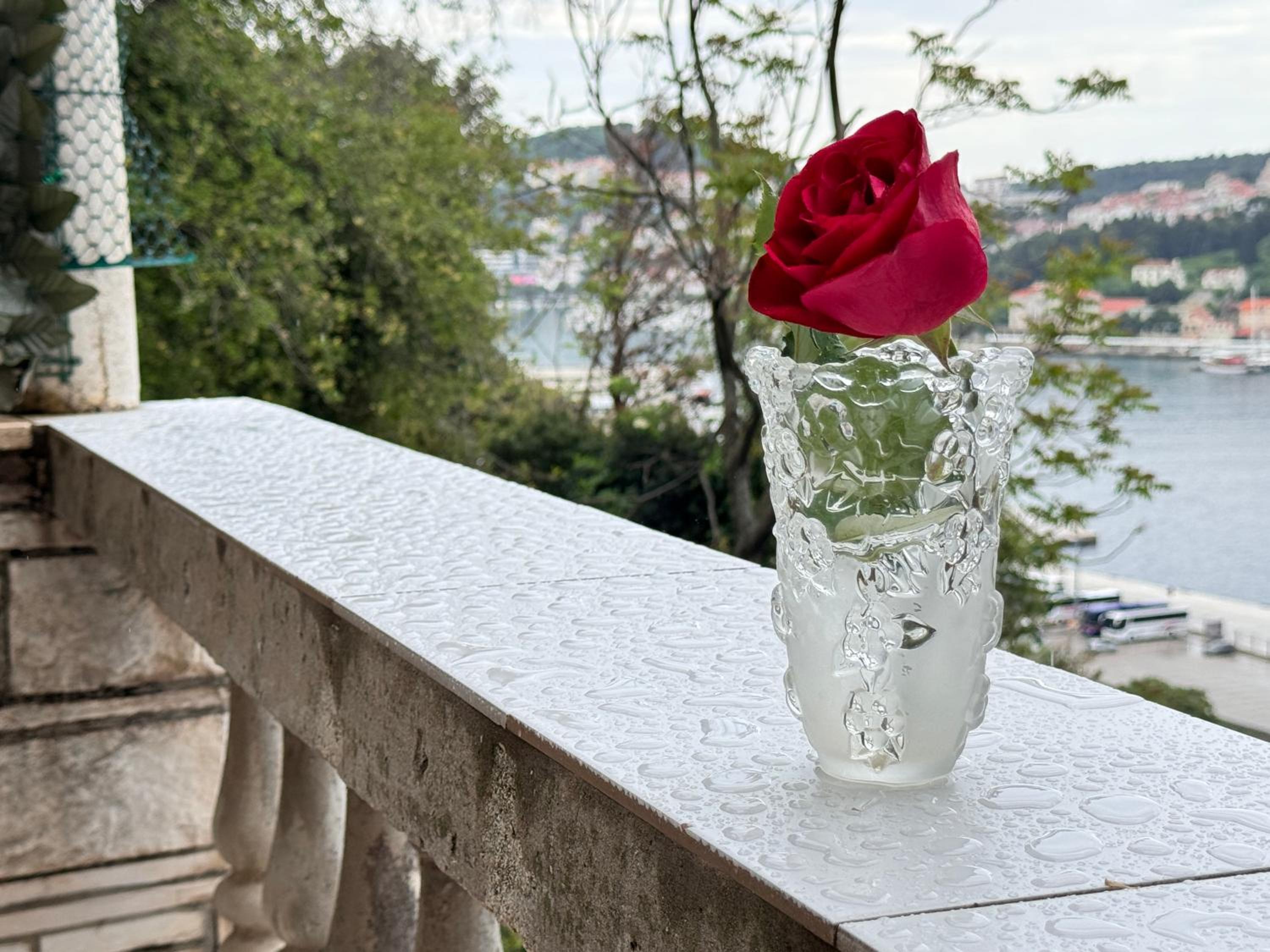 Dalmatian House, spacious stone terraces, balcony , views