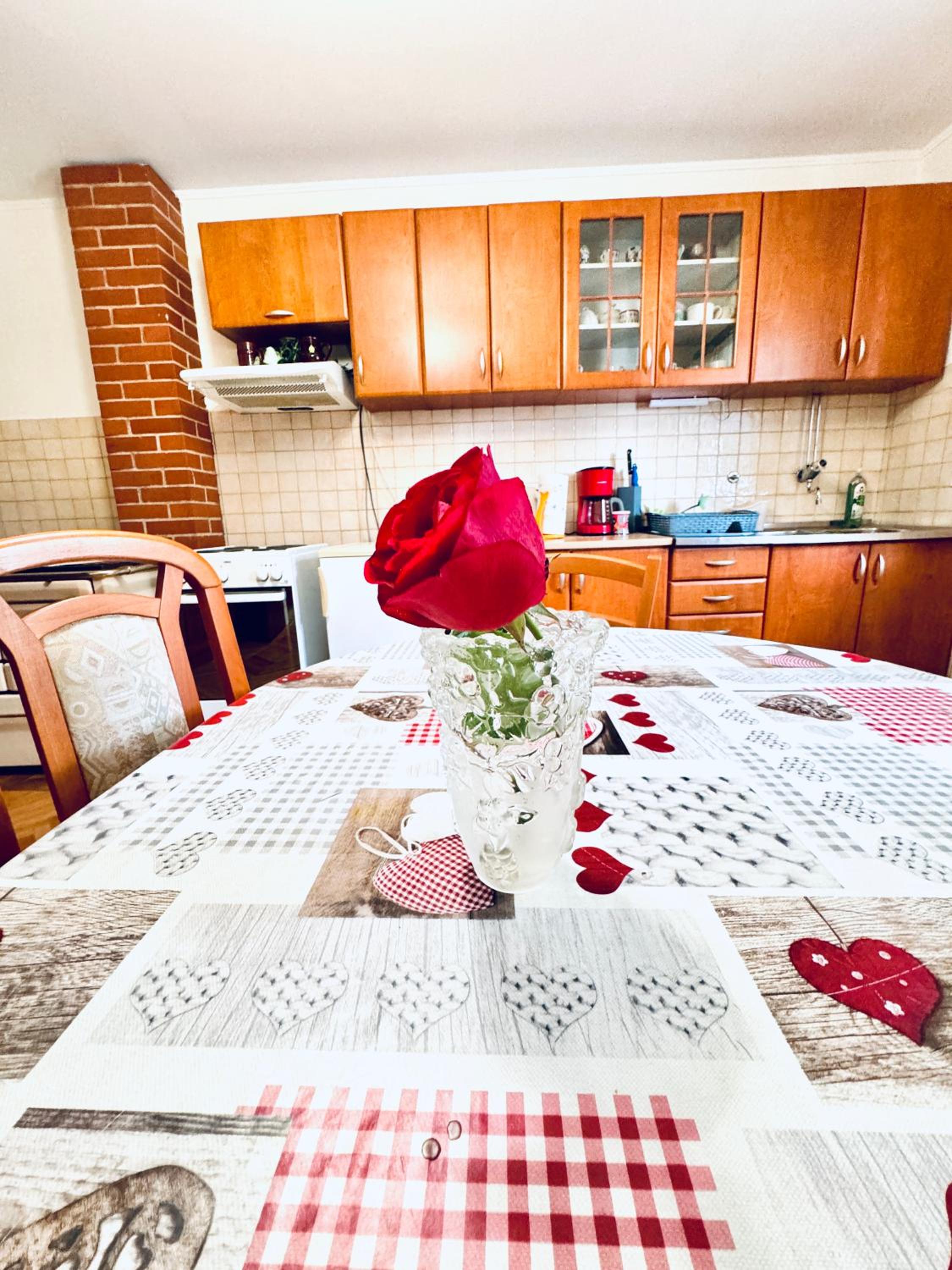 Dalmatian House, spacious stone terraces, balcony , views