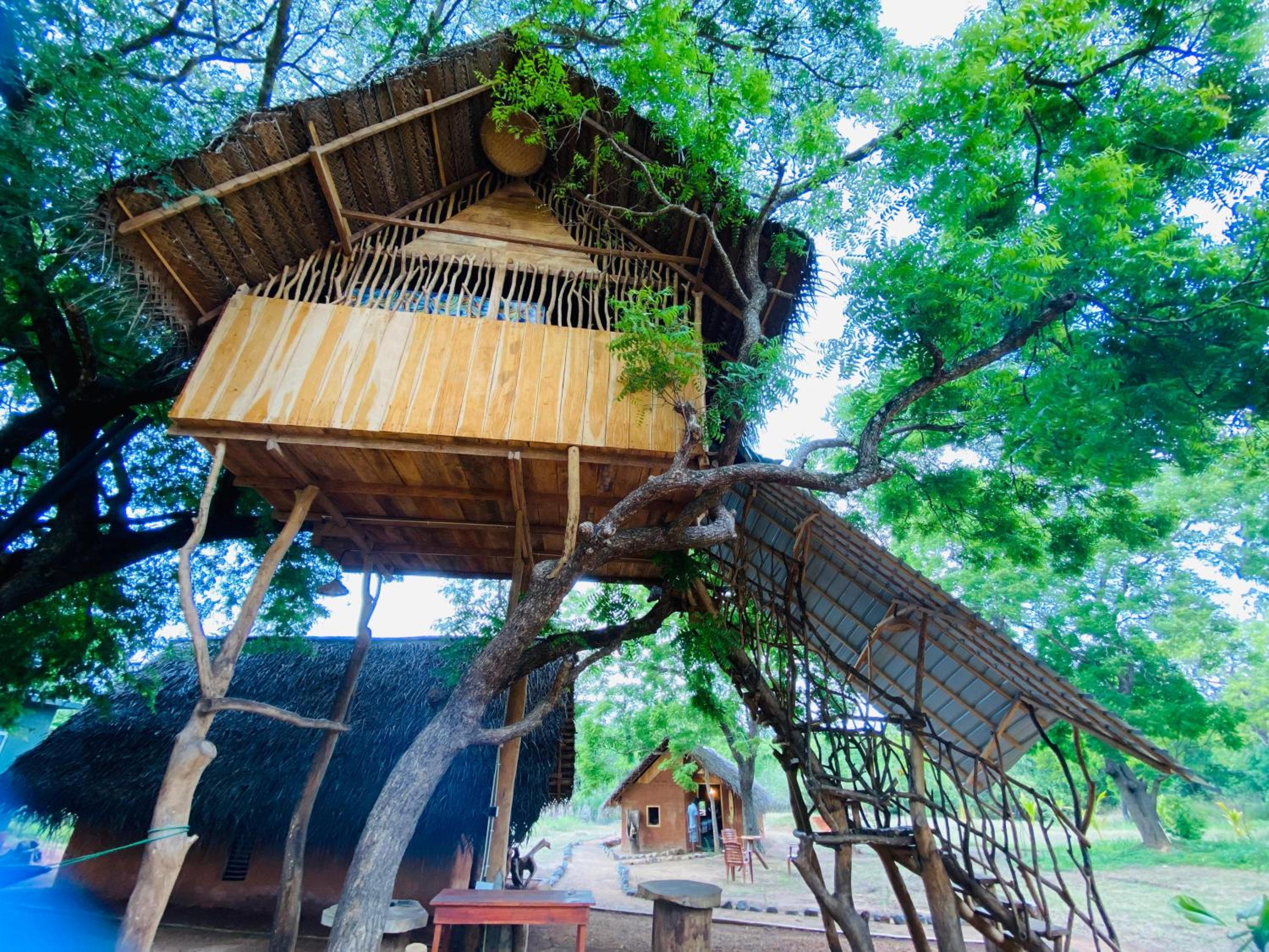 Yala Village Eco Tree House view 2