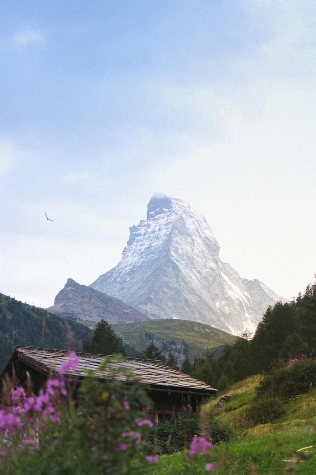 Holiday Escape Studio - Stylish & Central - steps to Matterhorn gondola