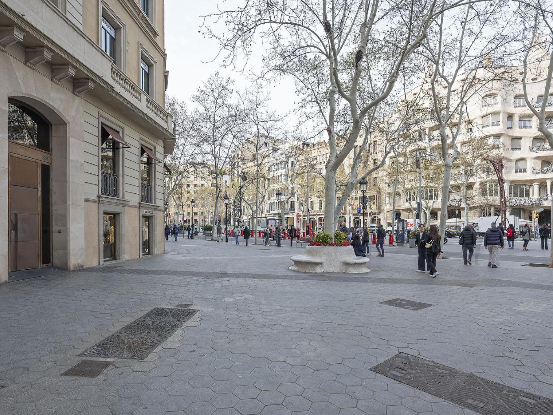 Ola Living Paseo de Gracia