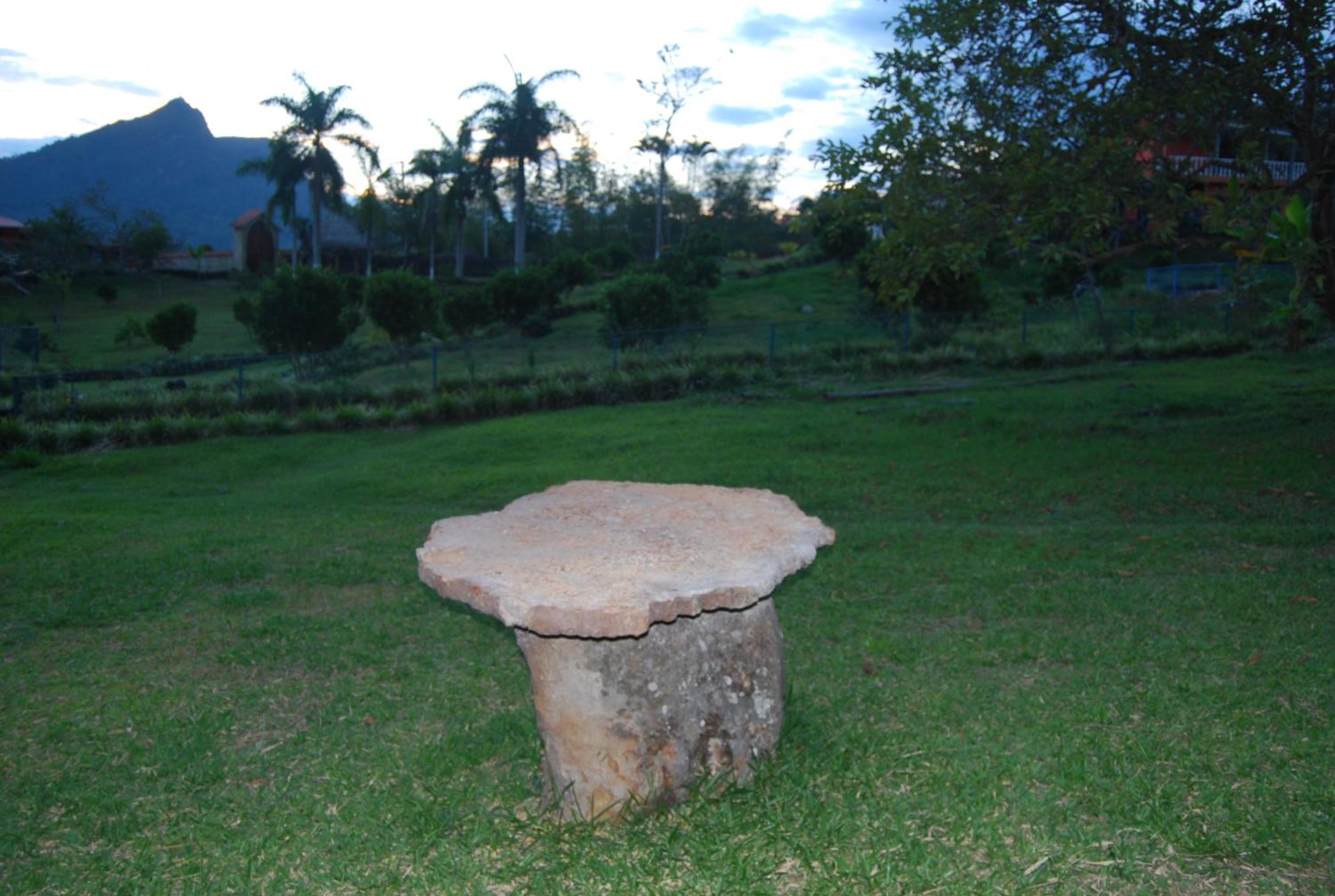 Las Mercedes Finca Cafetera