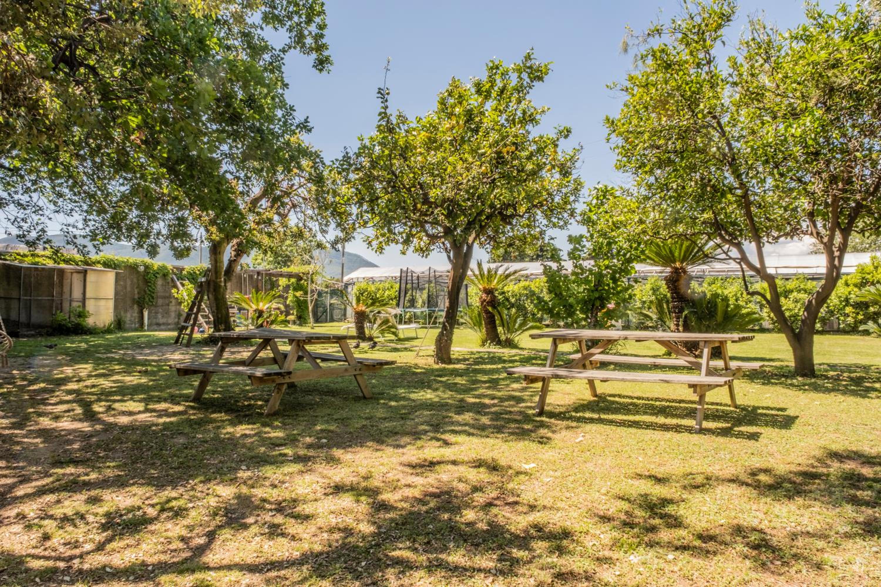 Agriturismo Giorgi appartamenti in Riviera Ligure