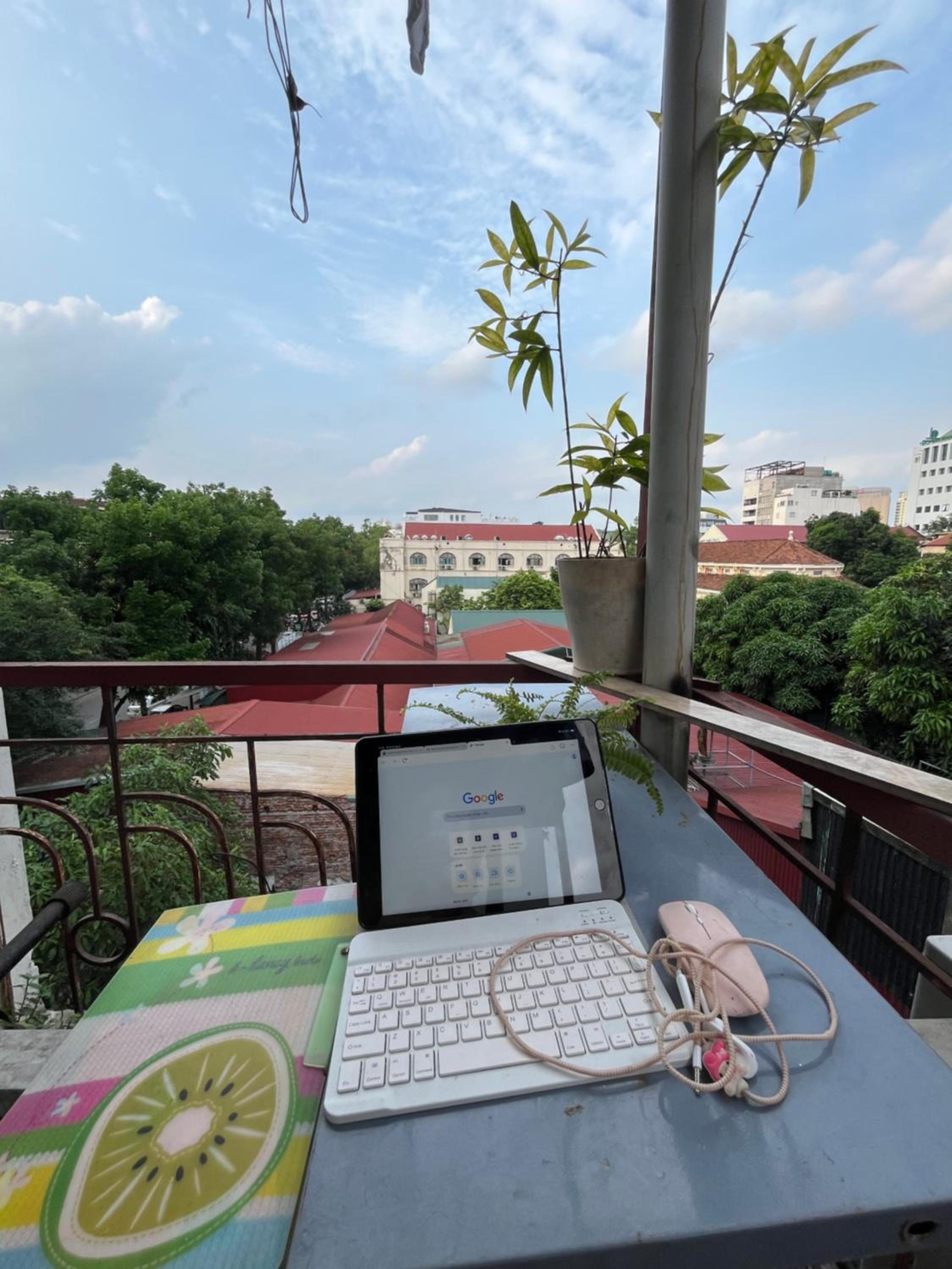 Tropical land little Hanoi homestay