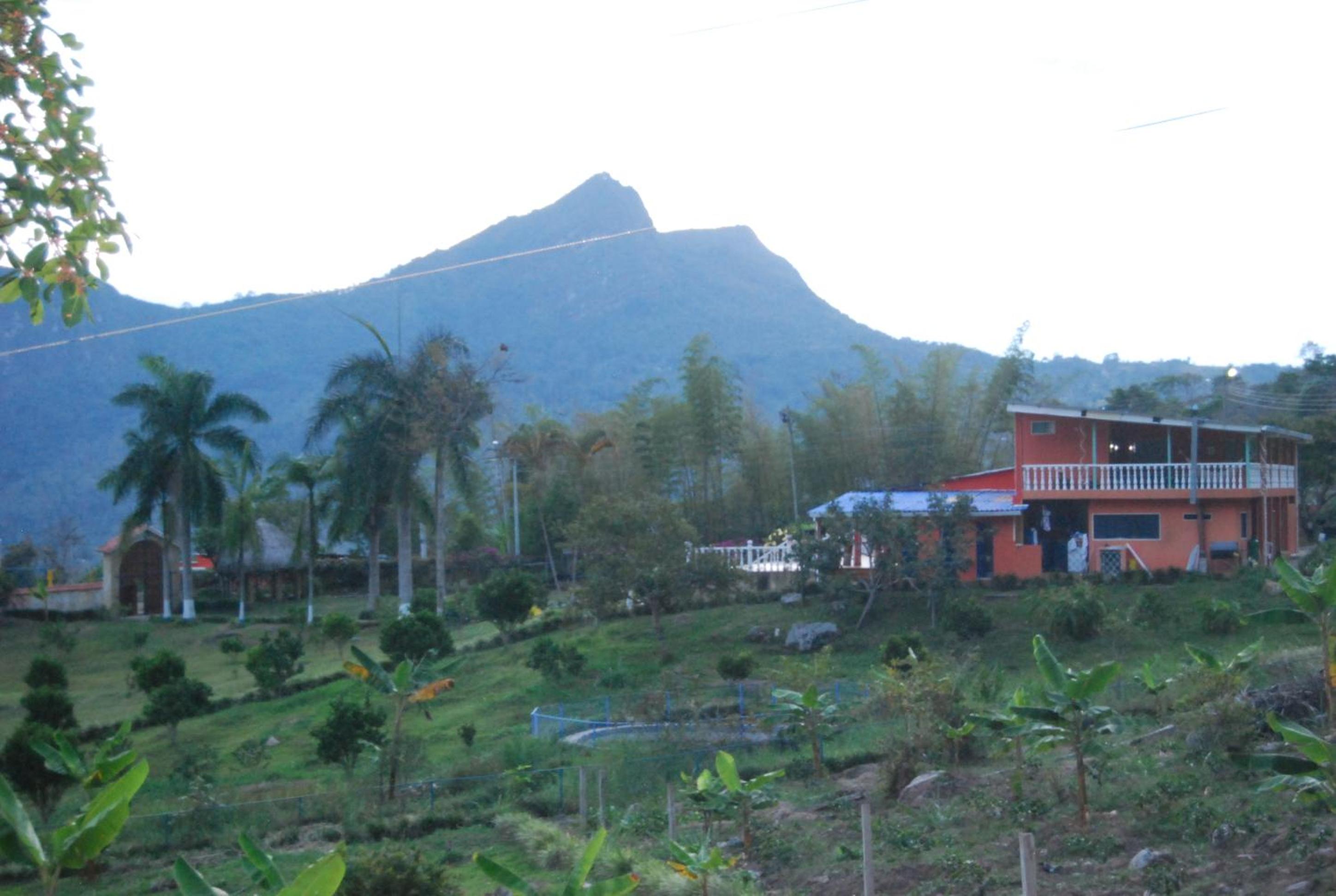 Las Mercedes Finca Cafetera