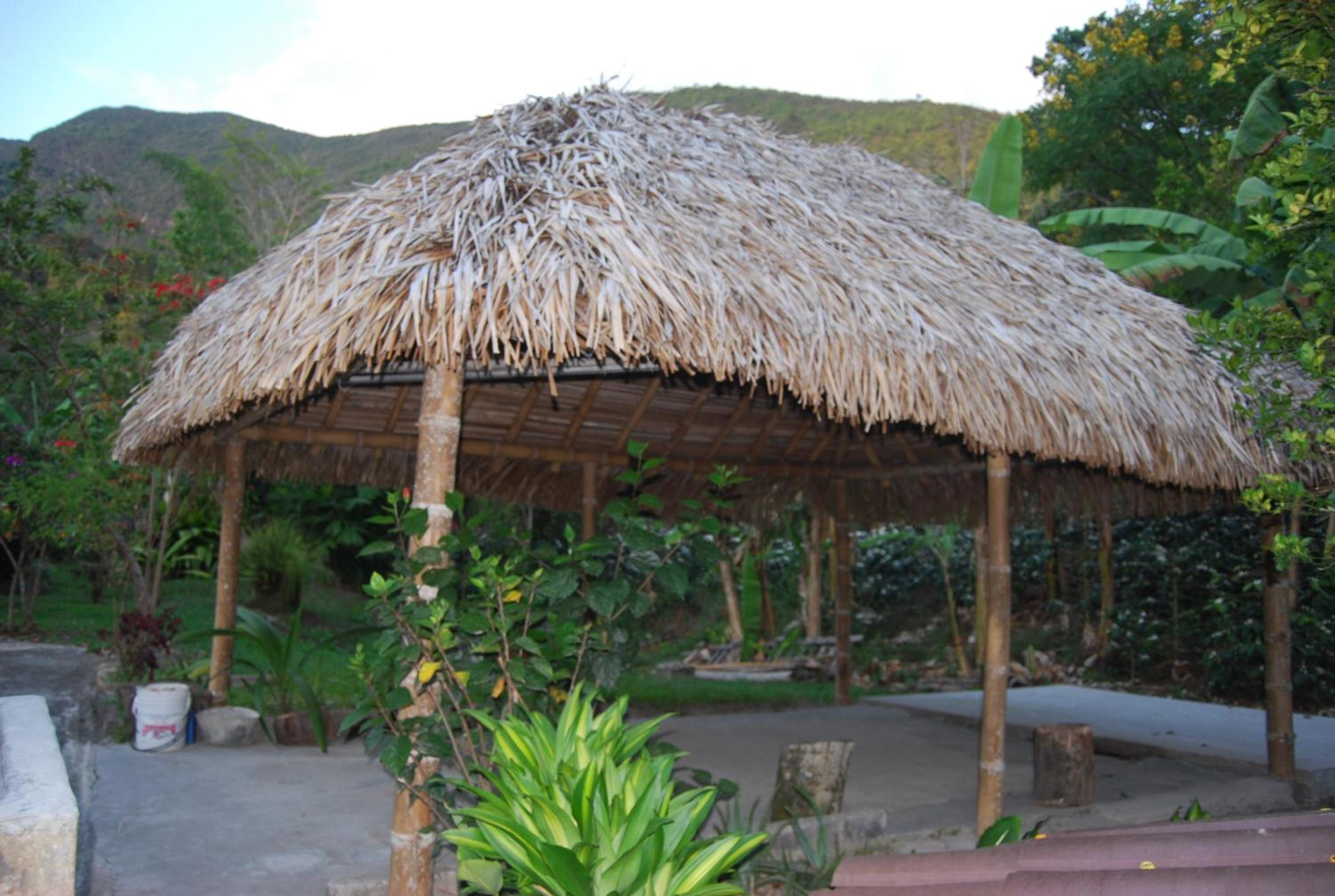 Las Mercedes Finca Cafetera