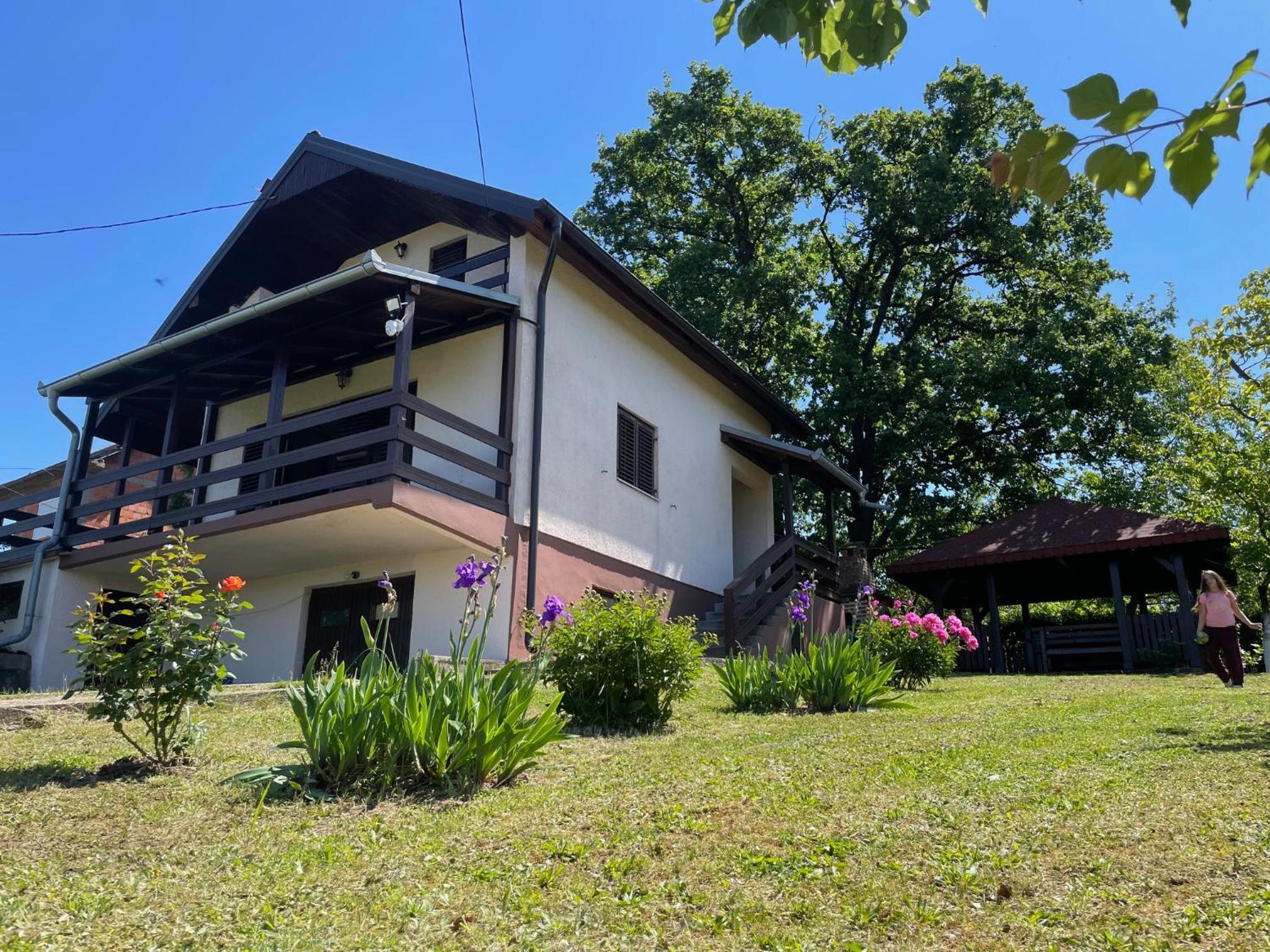 Vila Plavinac view 2