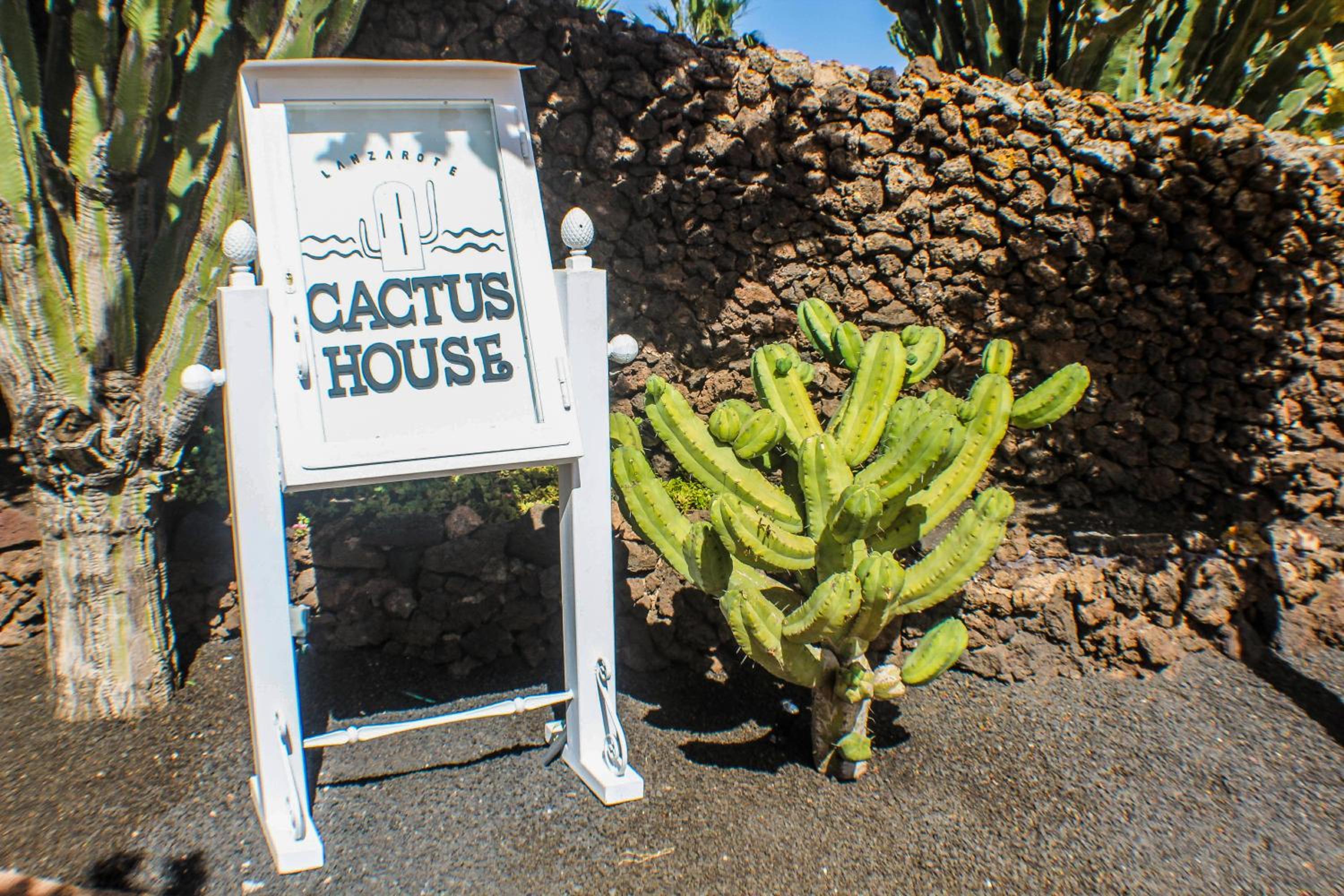 Villa Cactus Piscina Climatizada