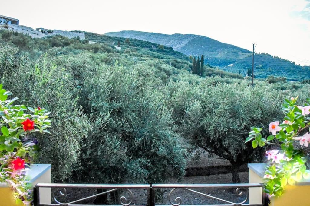 Olive Grove private residence