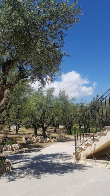 Olive Grove private residence