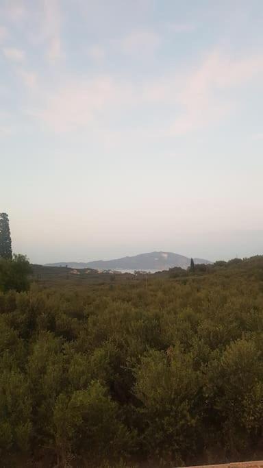 Olive Grove private residence
