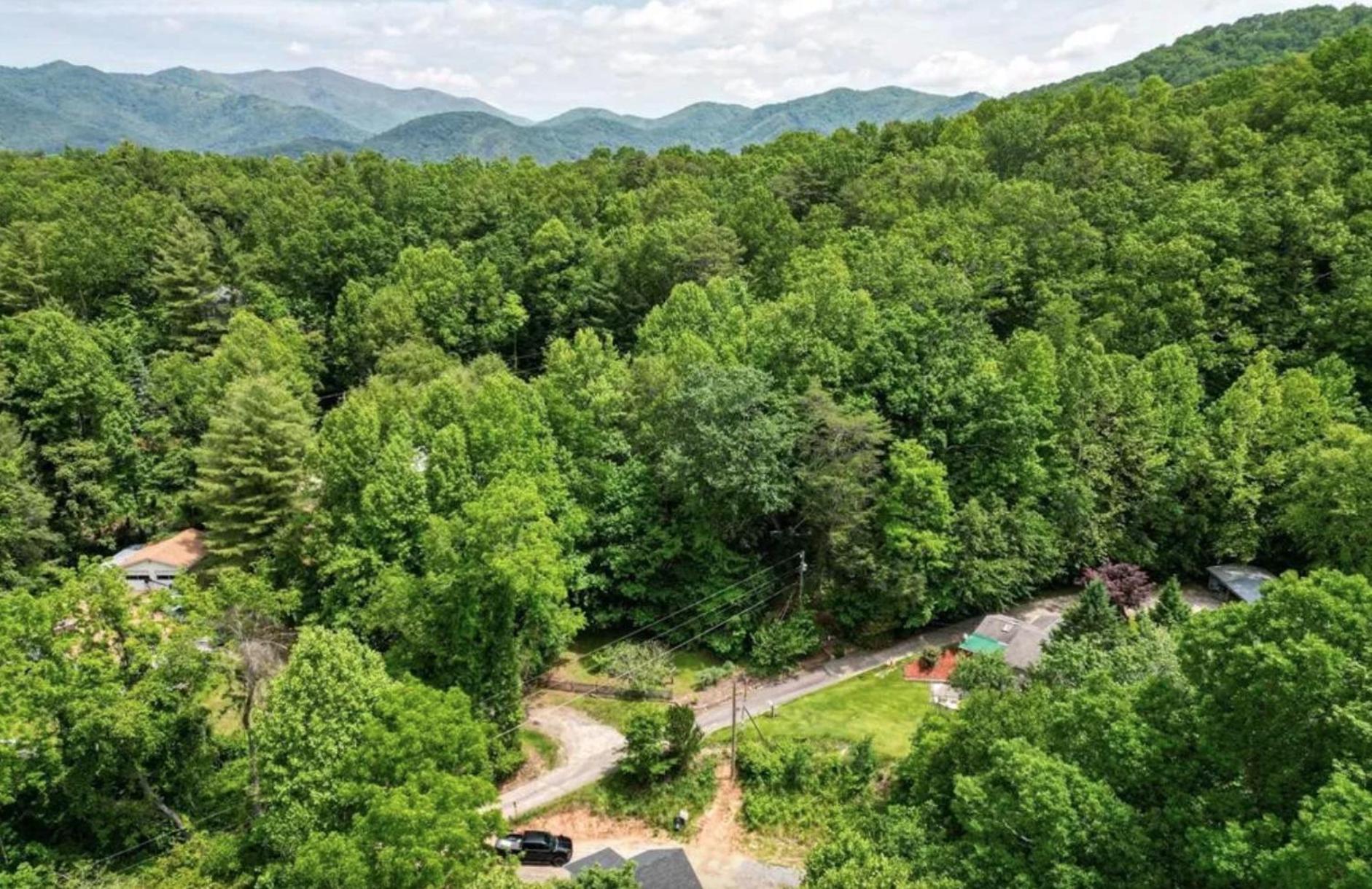 Dancing Bear Getaway Black Mountain