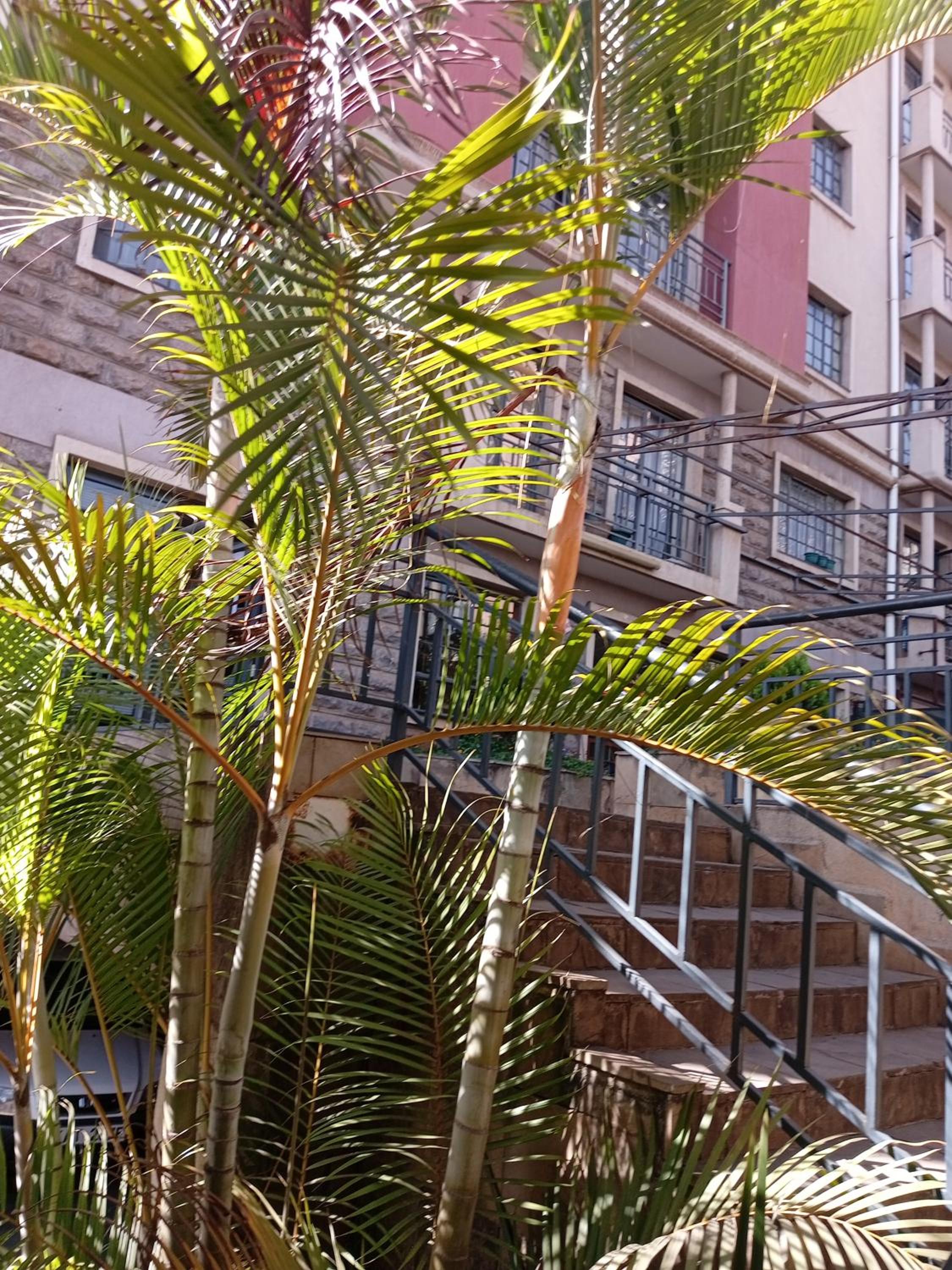 Best suites ngara view 3