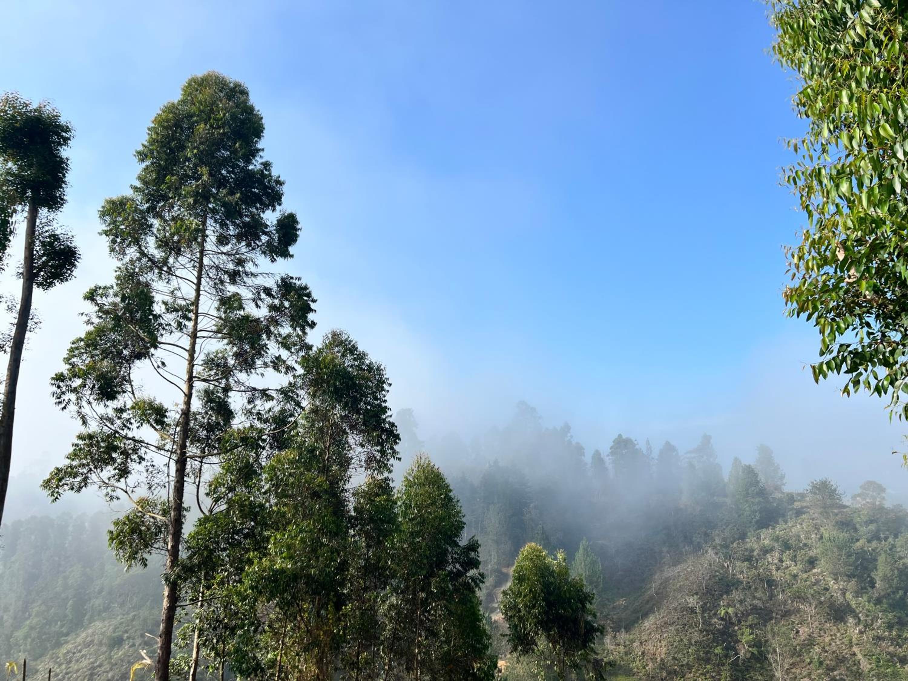 Finca Oriente Antioqueño -A 40 minutos de Medellín