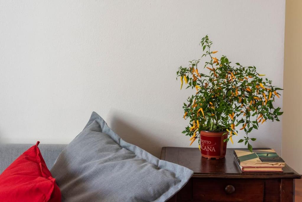 Renovated 19th Century Apartment