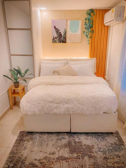 Madrigal Luxury Loft M01
