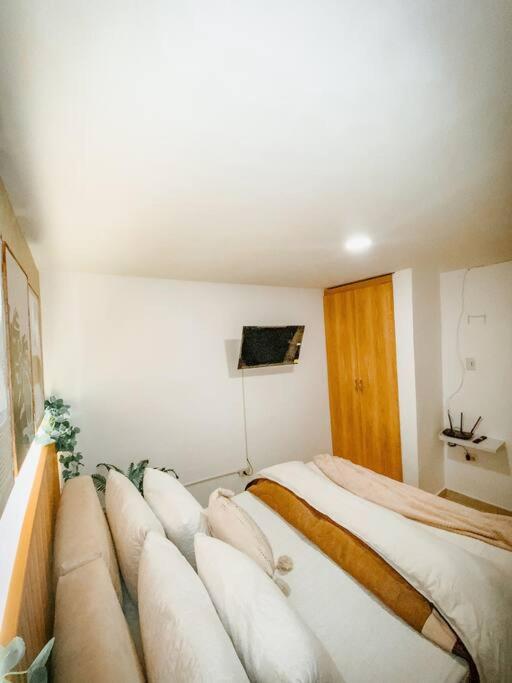 Madrigal Luxury Loft M01